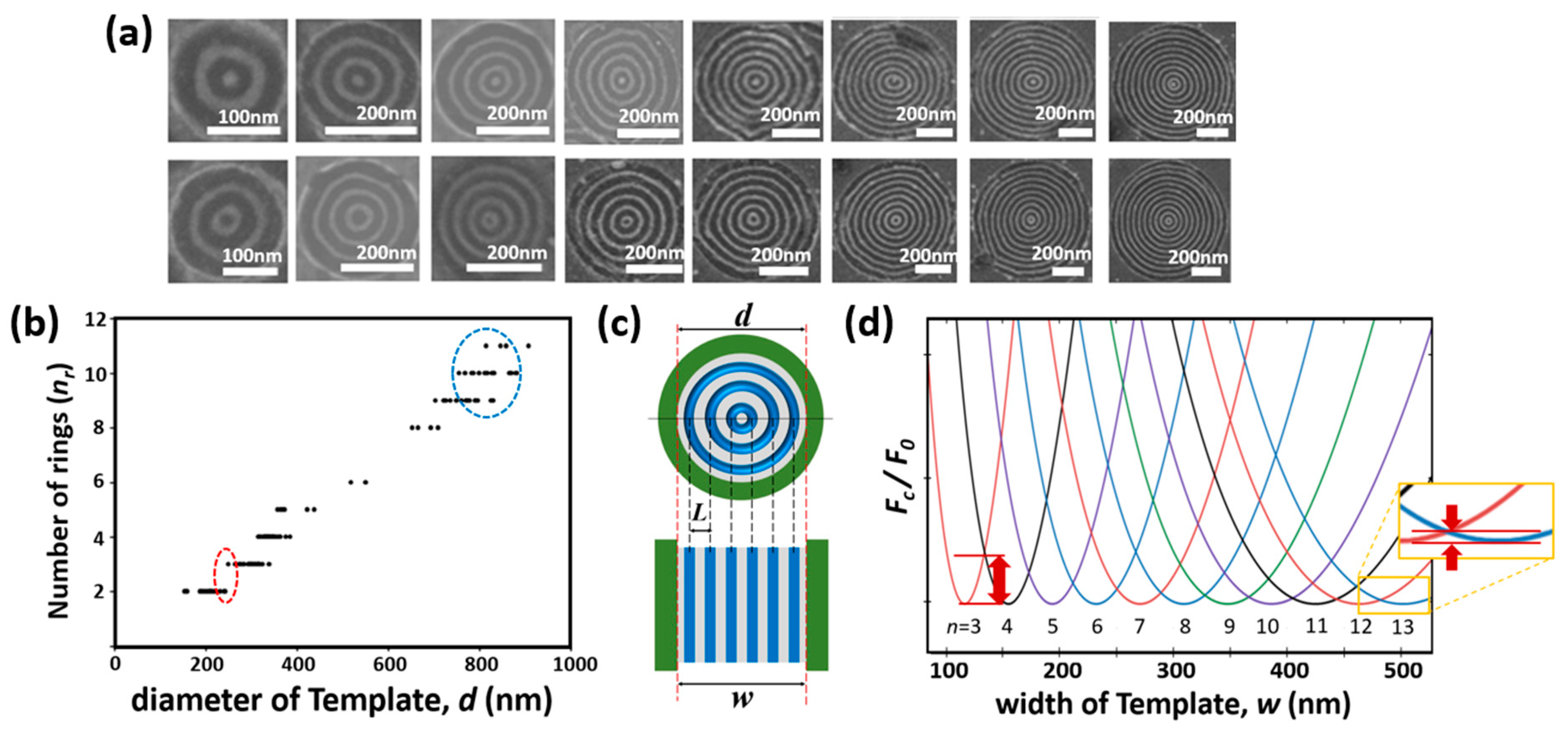 Polymers 15 00897 g005 Polymers 15 00897 g005
