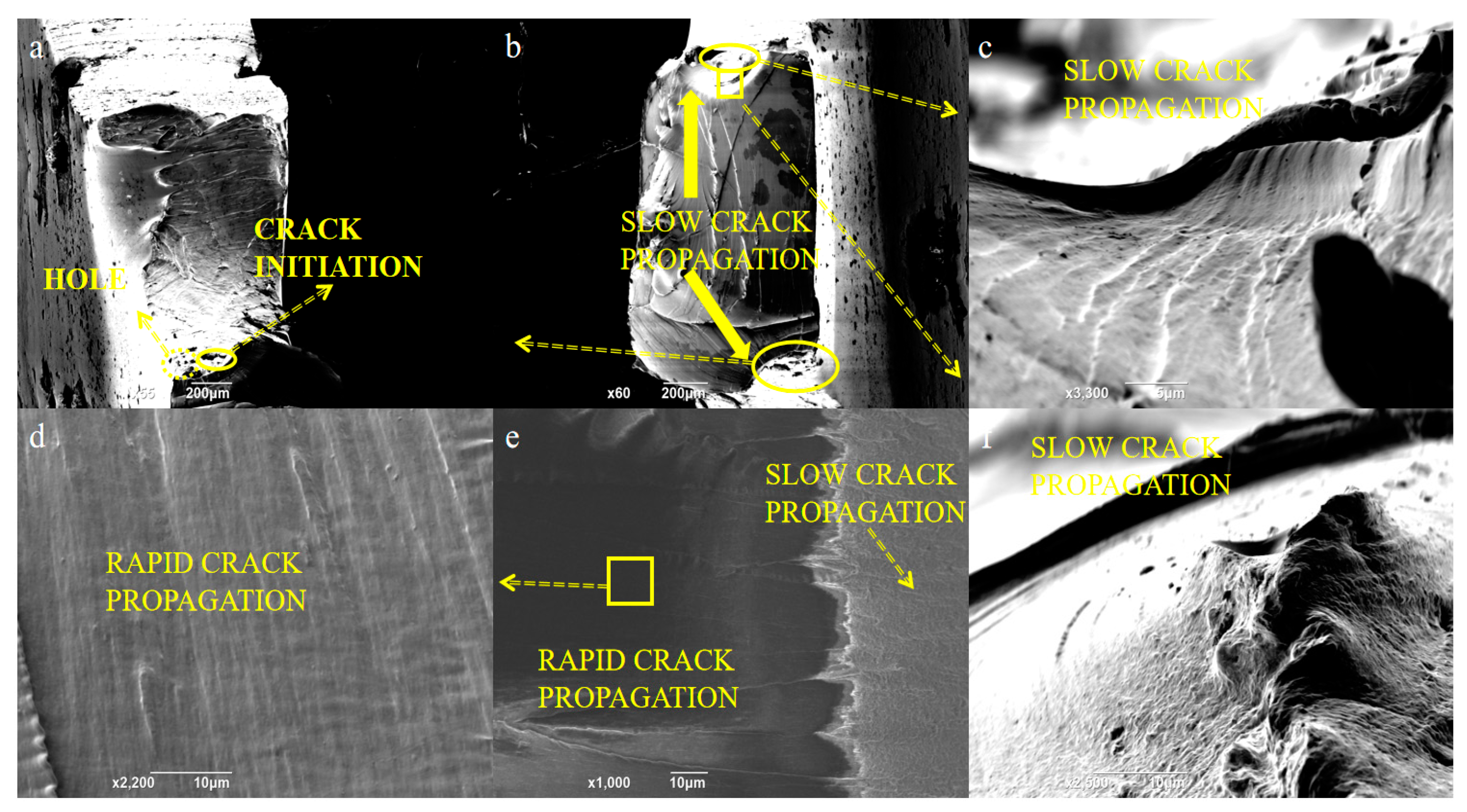 Polymers 15 00899 g012 Polymers 15 00899 g012