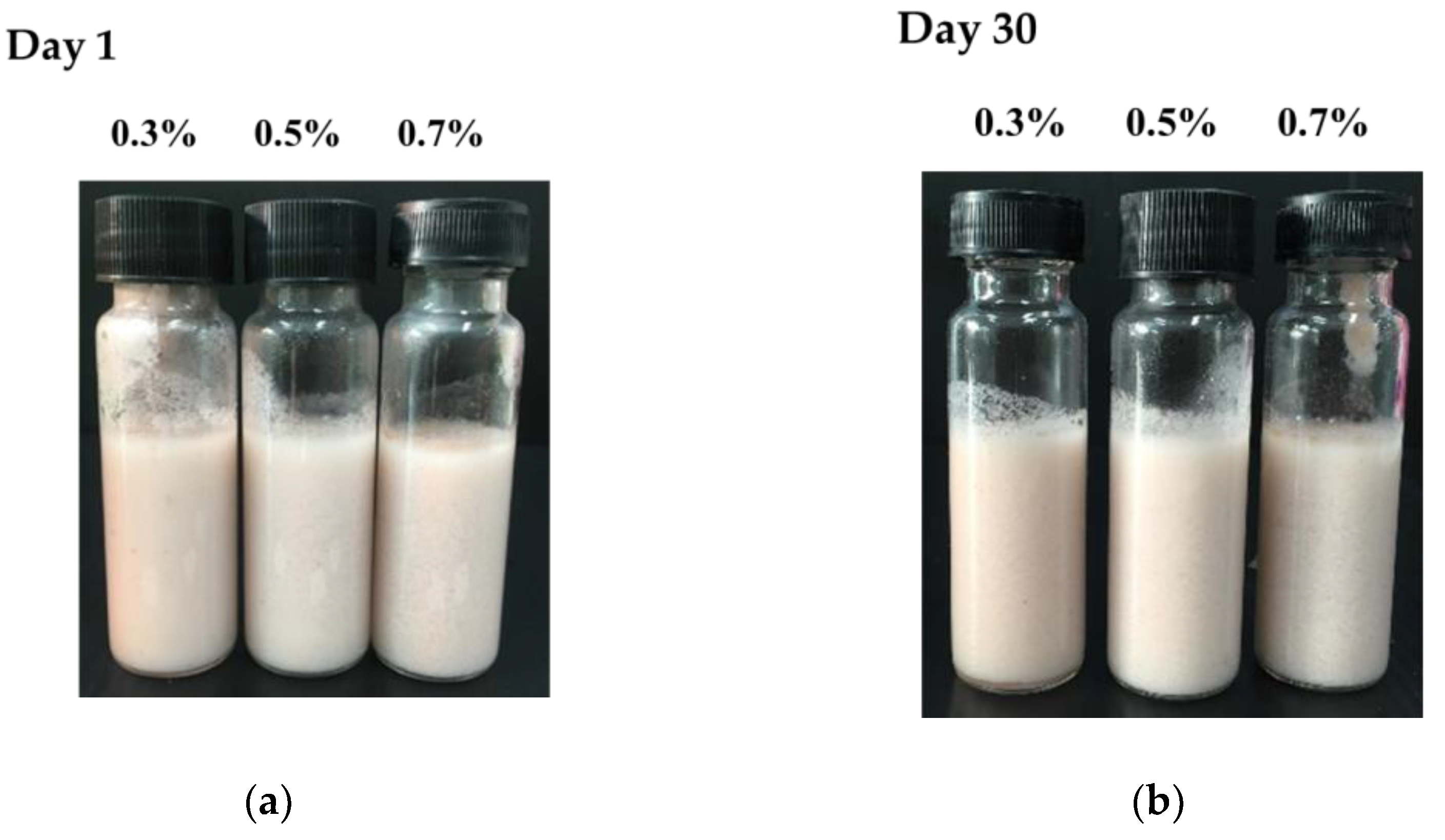 Polymers 15 00901 g002