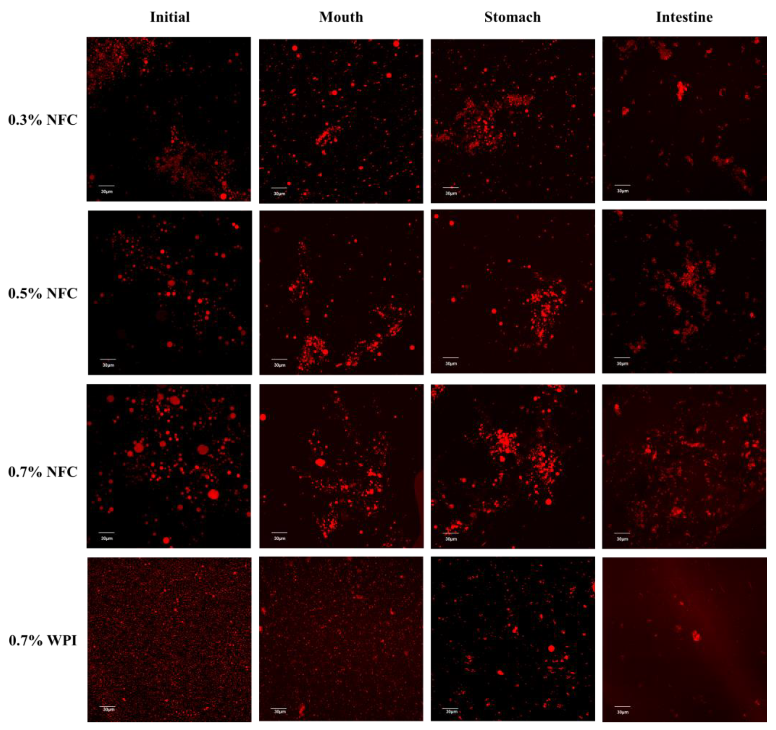 Polymers 15 00901 g004