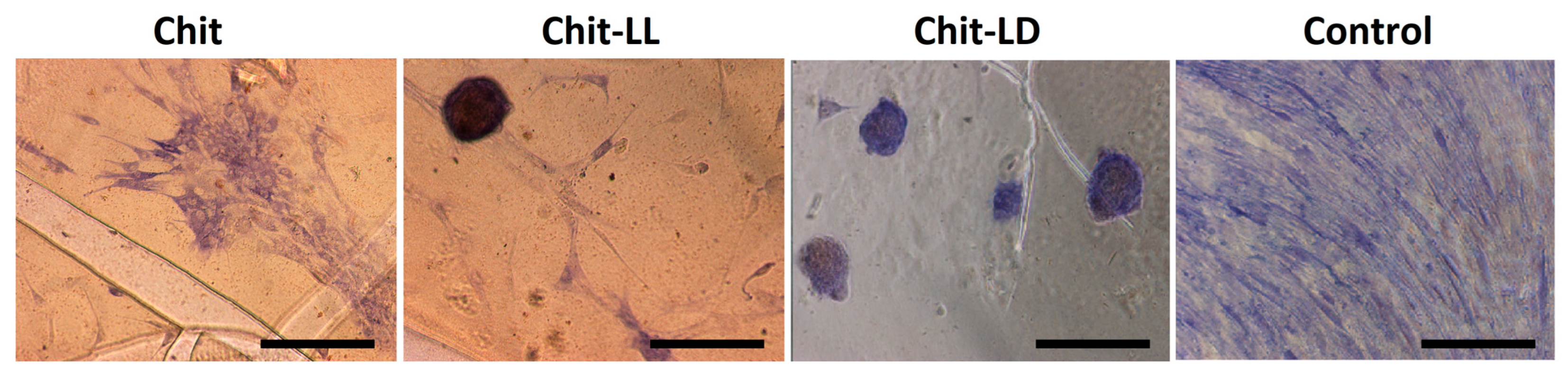 Polymers 15 00907 g009 Polymers 15 00907 g009
