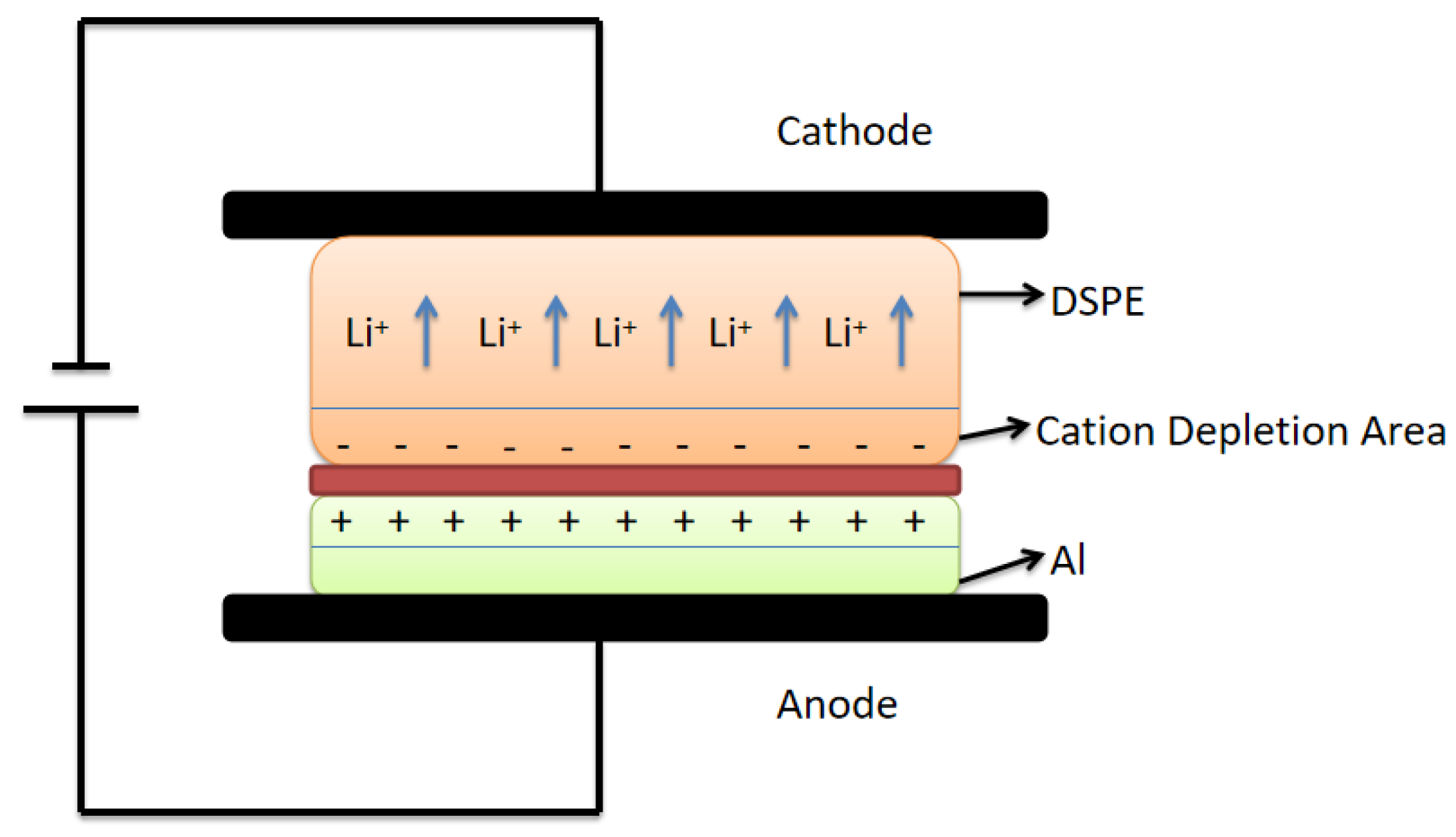 Polymers 15 00913 g002