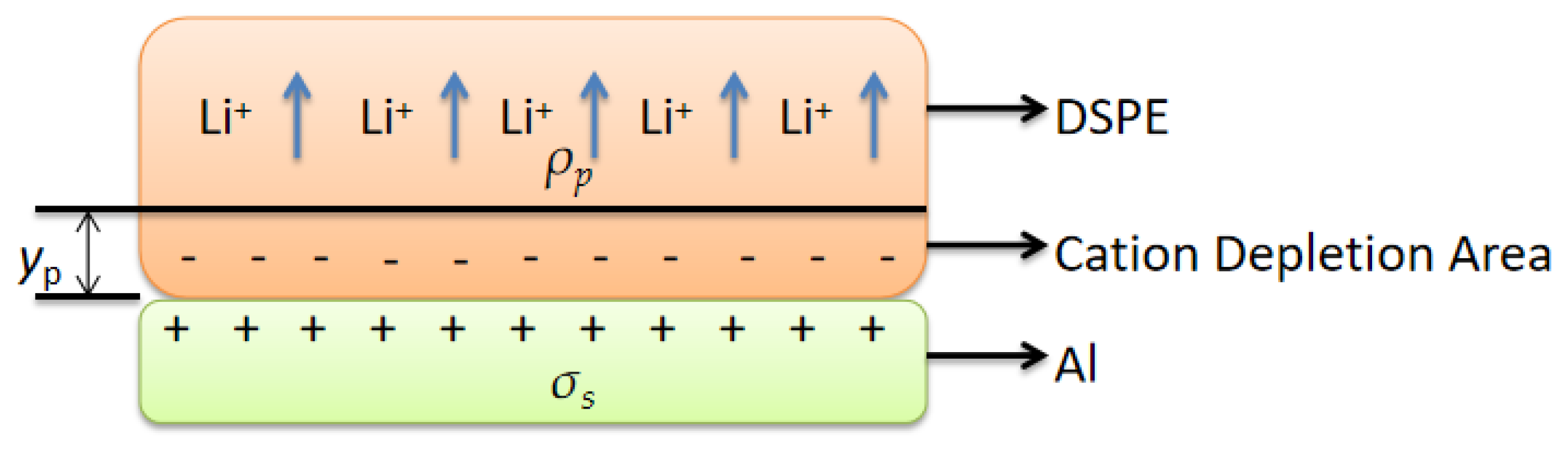 Polymers 15 00913 g007