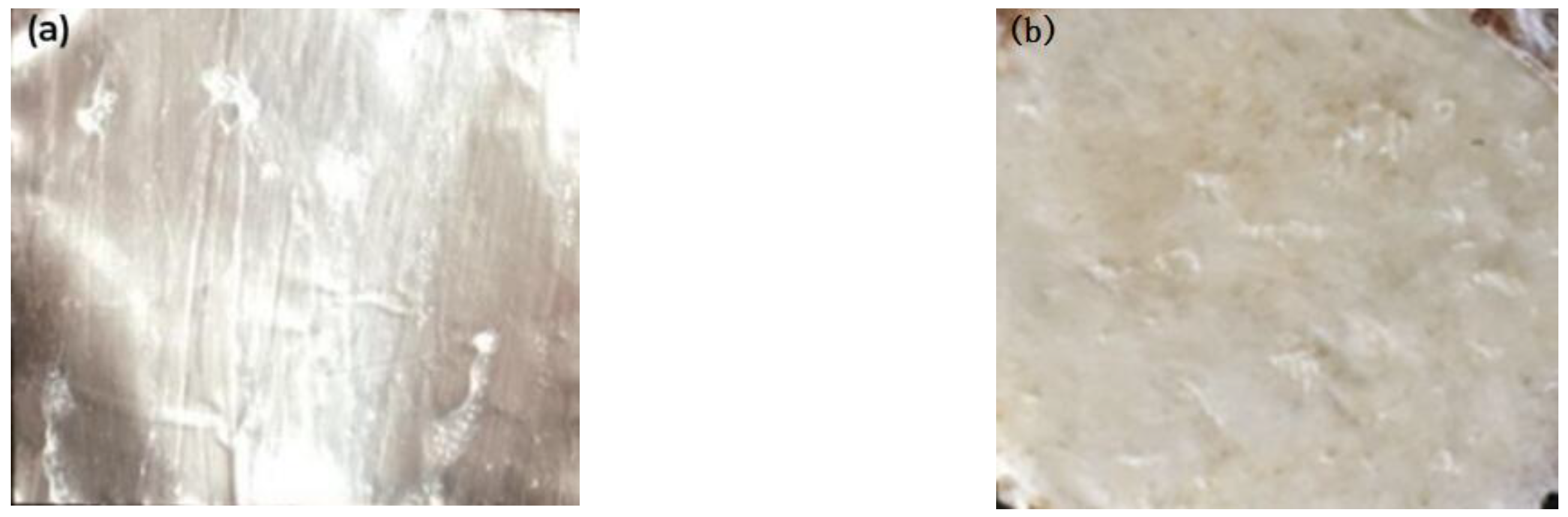 Polymers 15 00913 g012