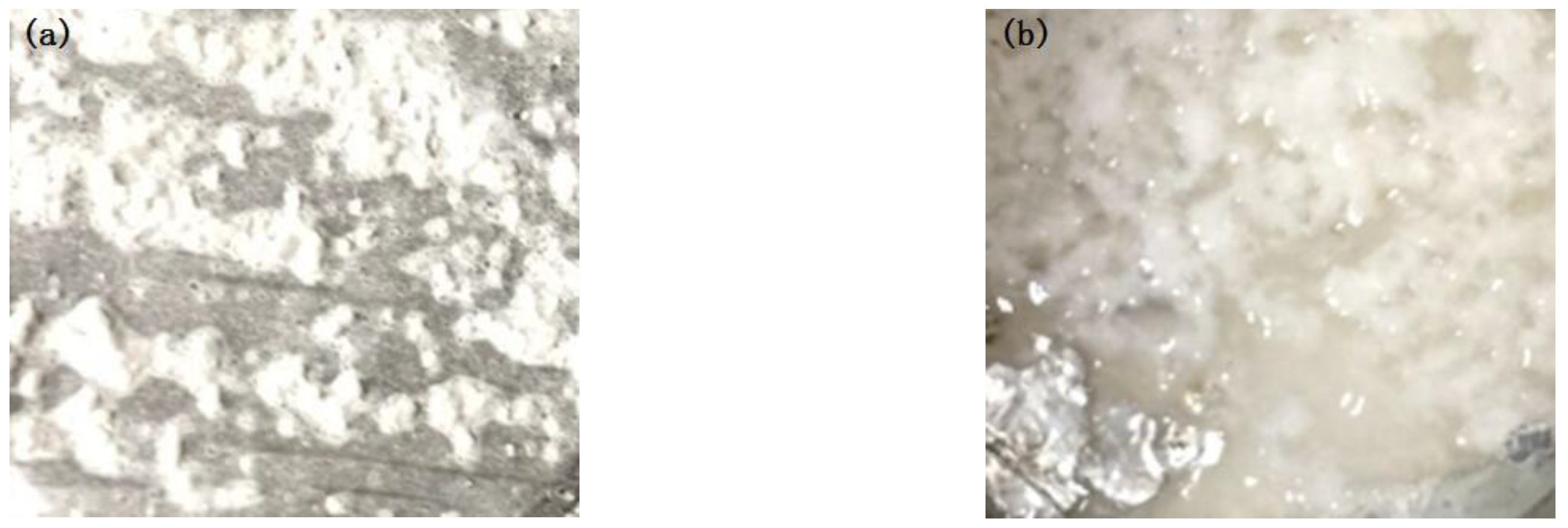 Polymers 15 00913 g013