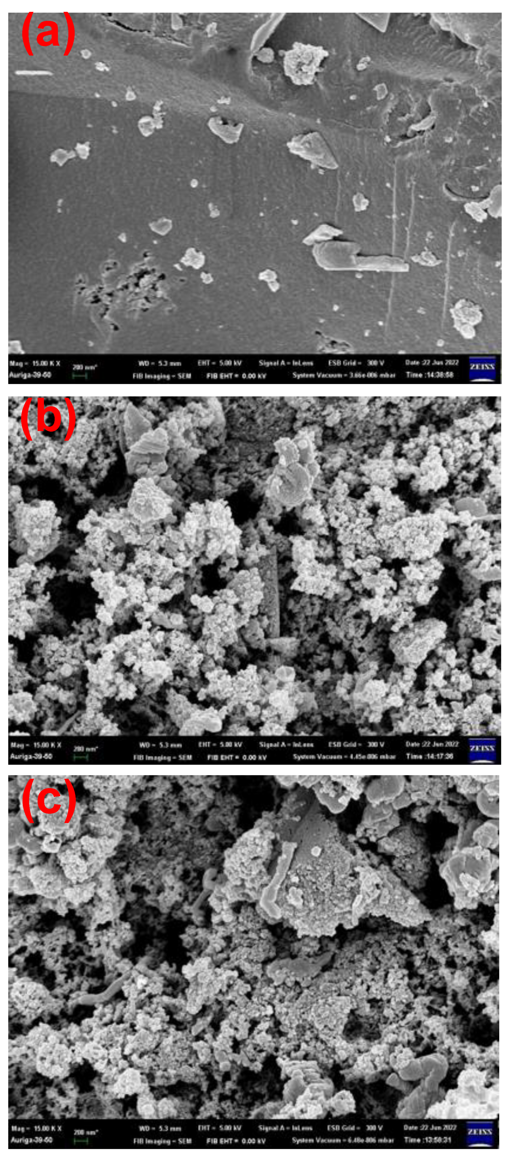 Polymers 15 00915 g002 Polymers 15 00915 g002