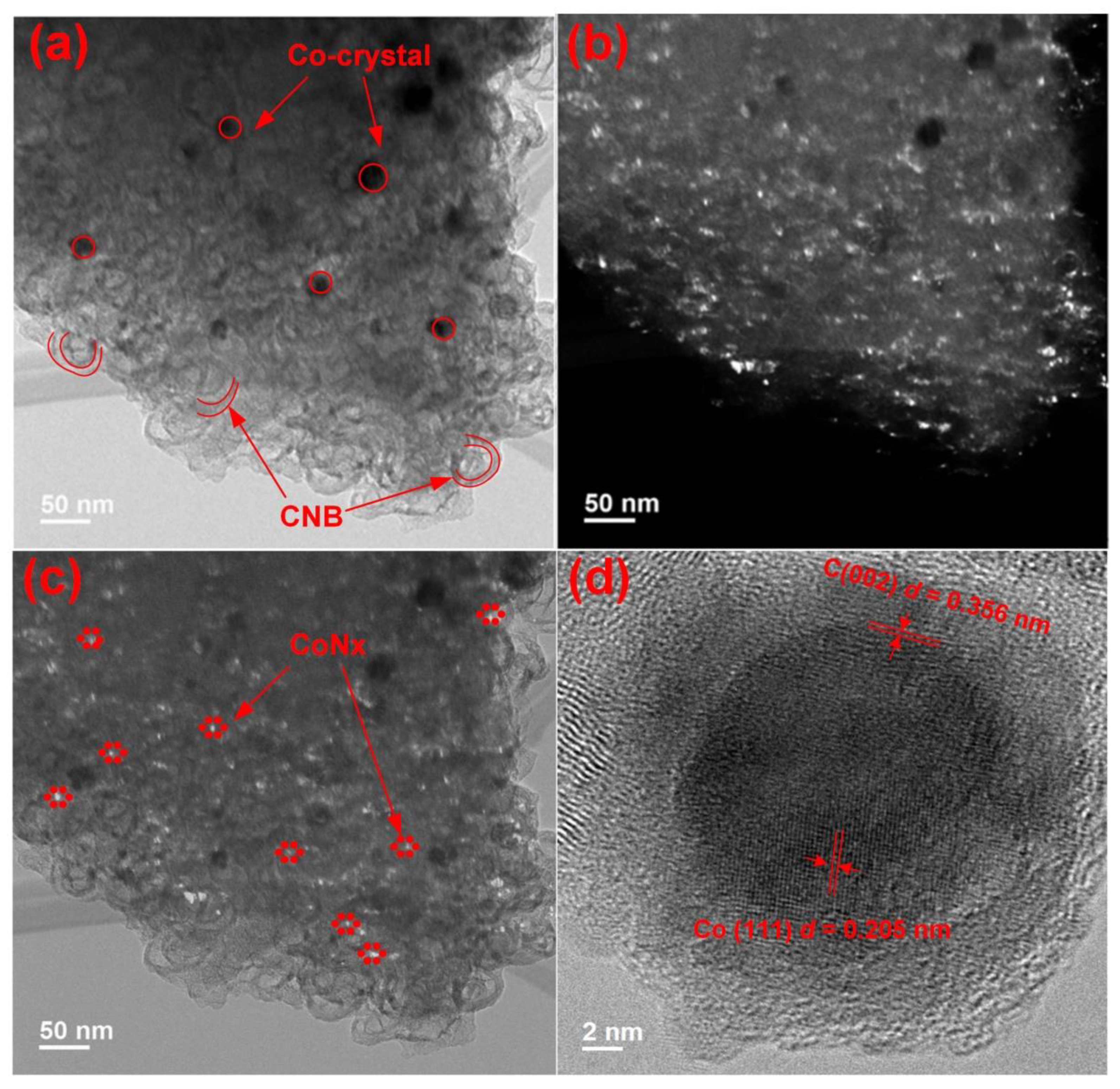 Polymers 15 00915 g003 Polymers 15 00915 g003