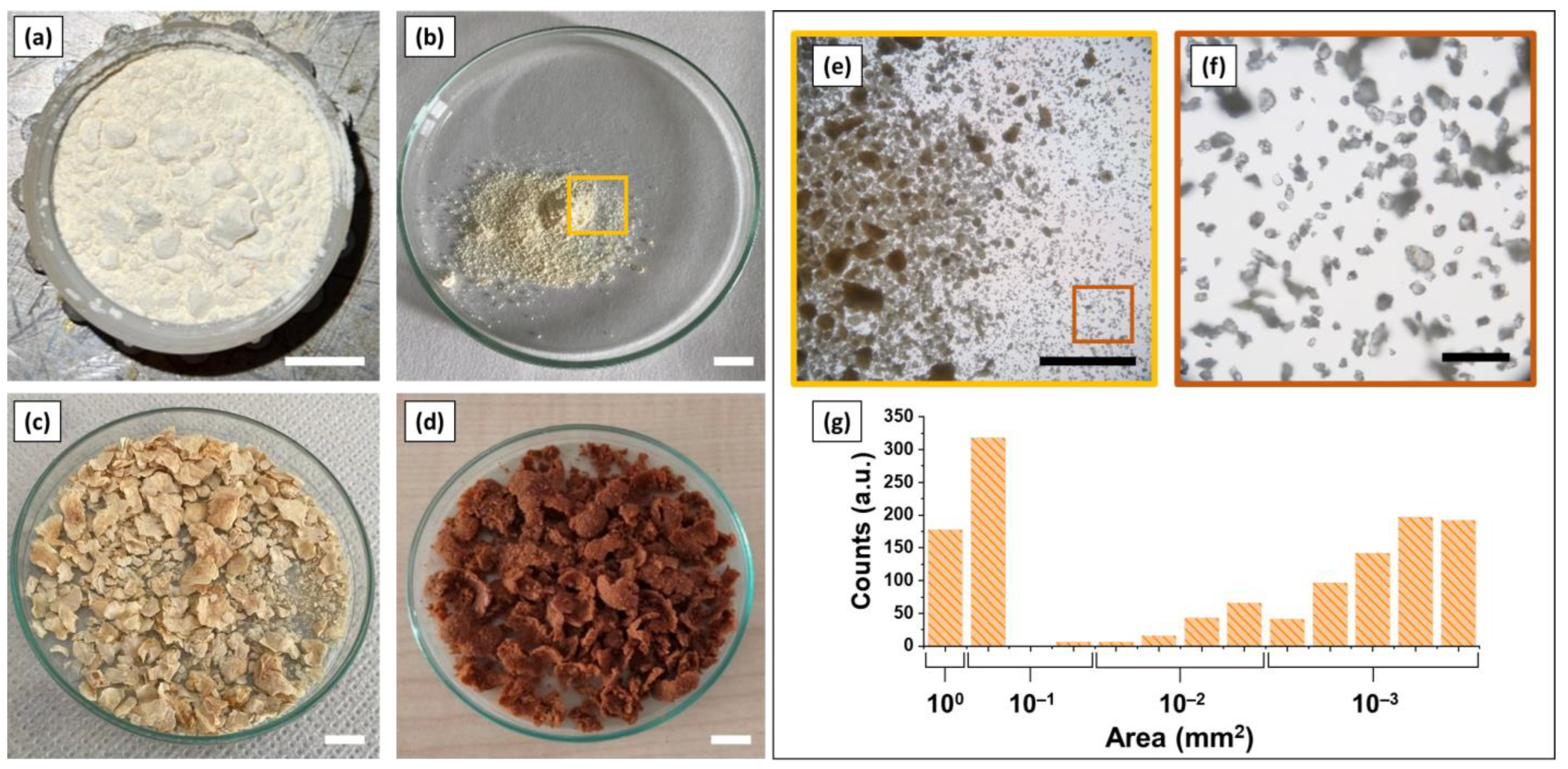 Polymers 15 00923 g001