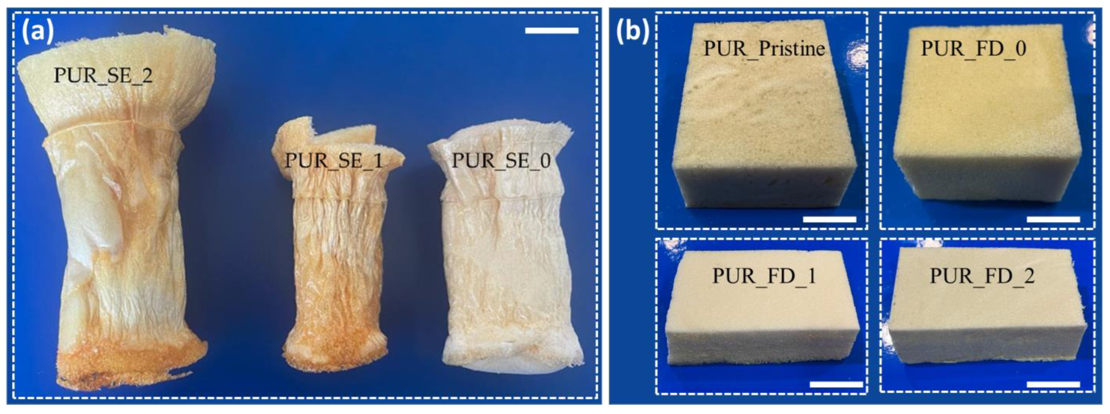 Polymers 15 00923 g004