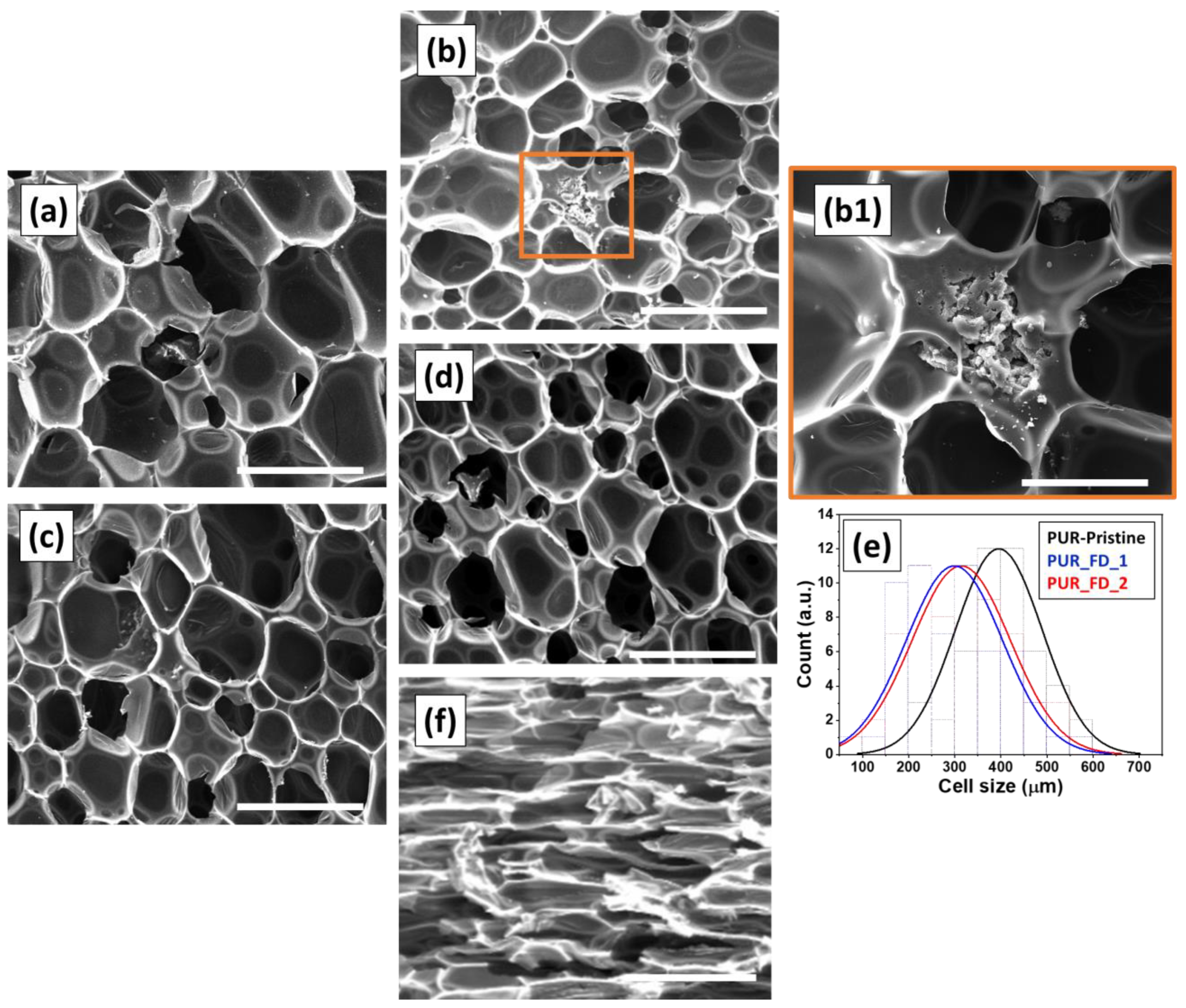 Polymers 15 00923 g006