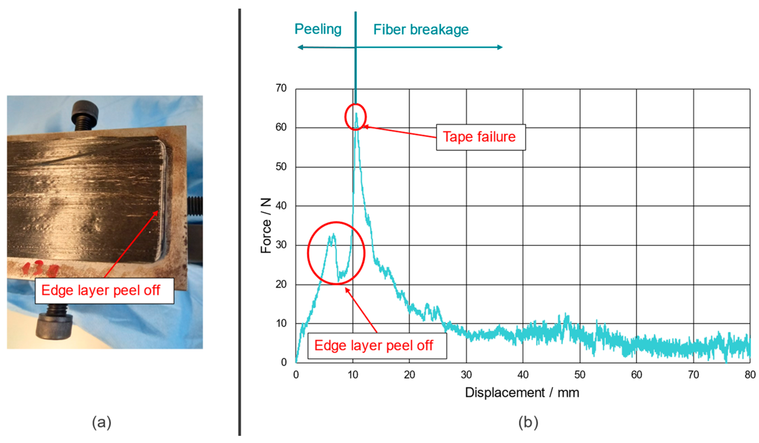 Polymers 15 00935 g001