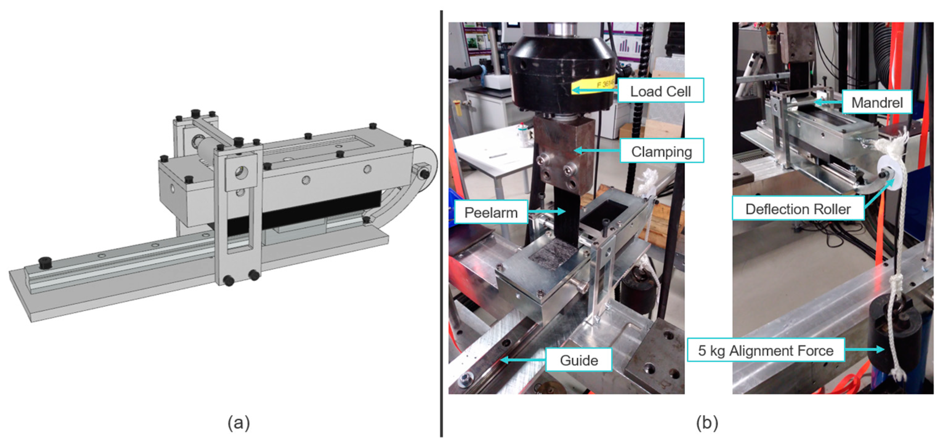 Polymers 15 00935 g004