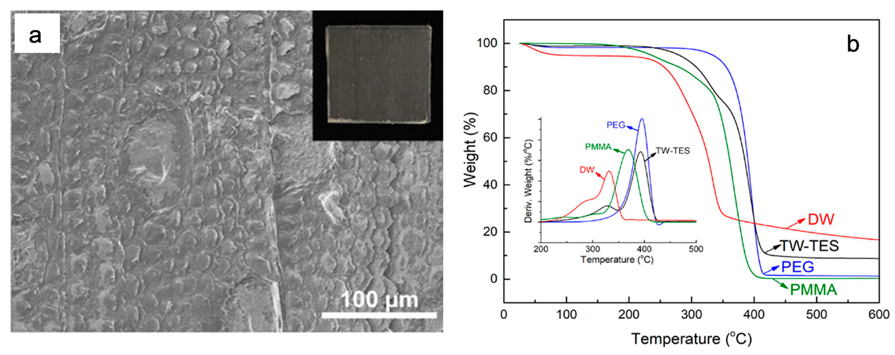 Polymers 15 00942 g005