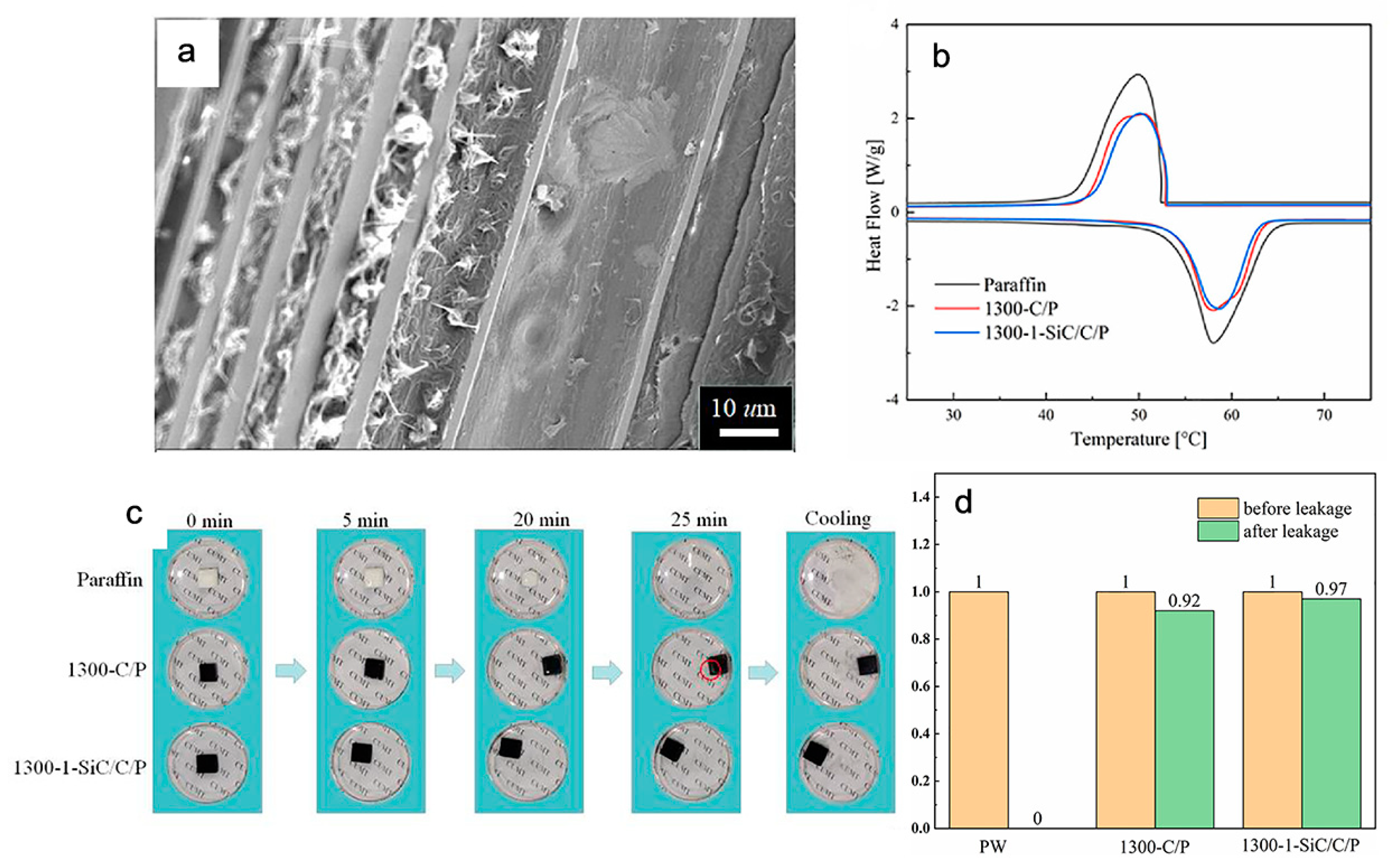 Polymers 15 00942 g006