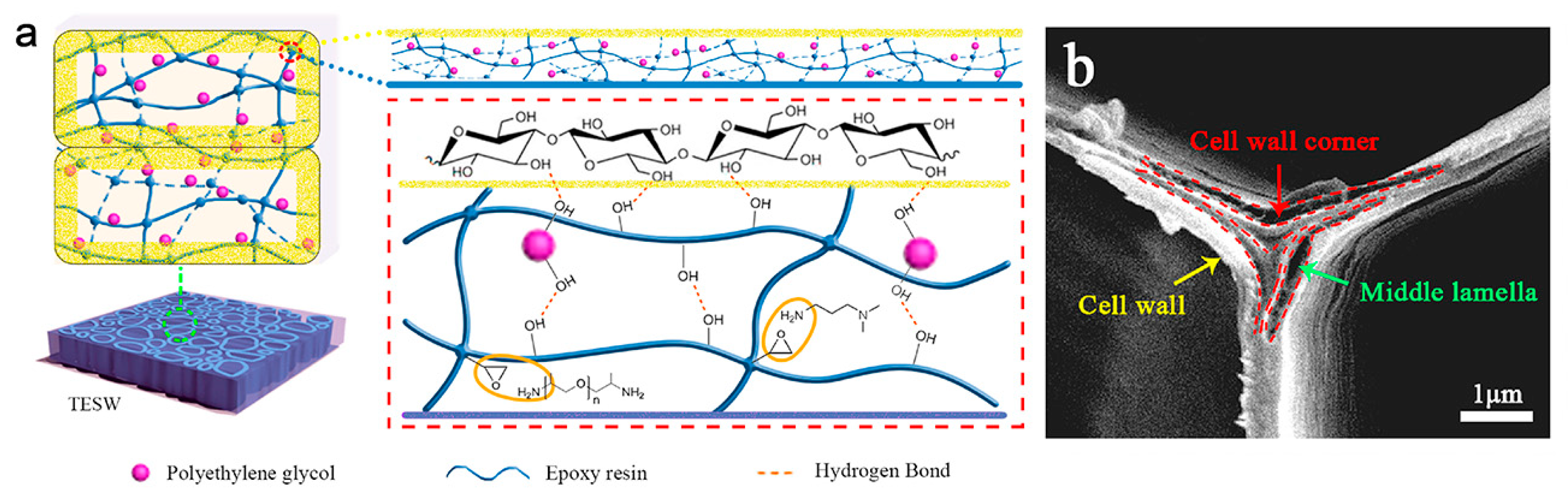 Polymers 15 00942 g007