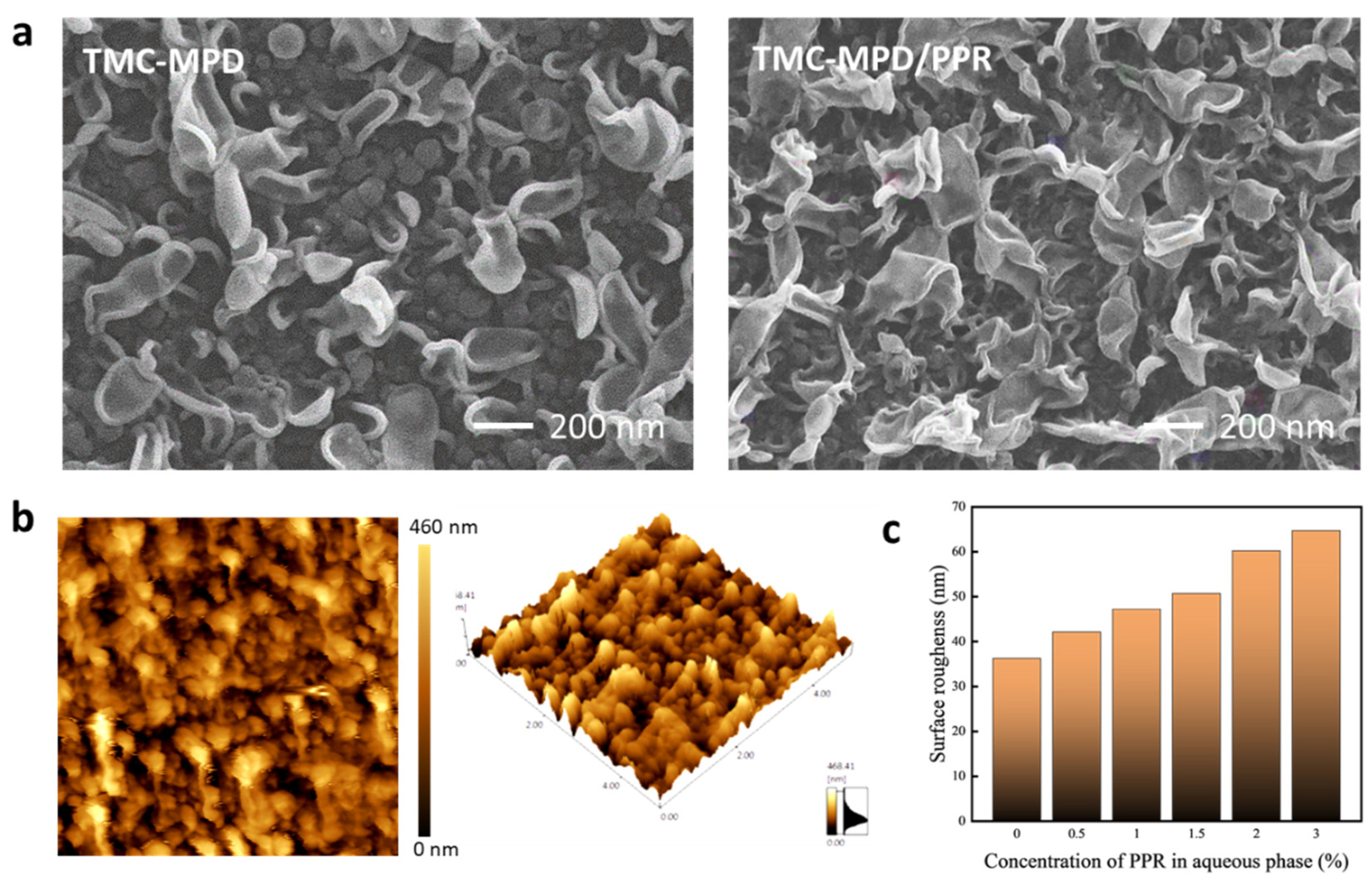 Polymers 15 00944 g003 Polymers 15 00944 g003