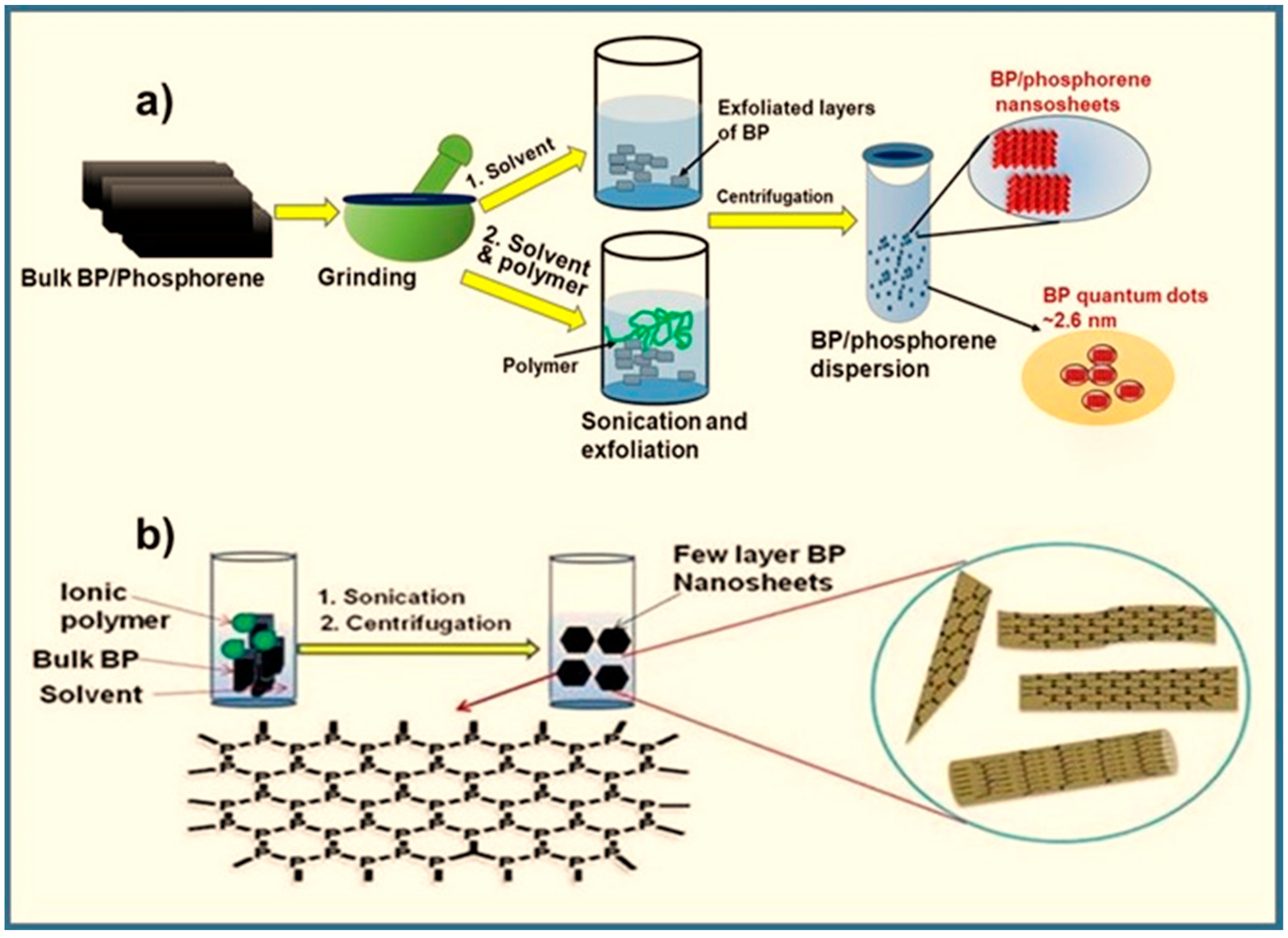 Polymers 15 00947 g001