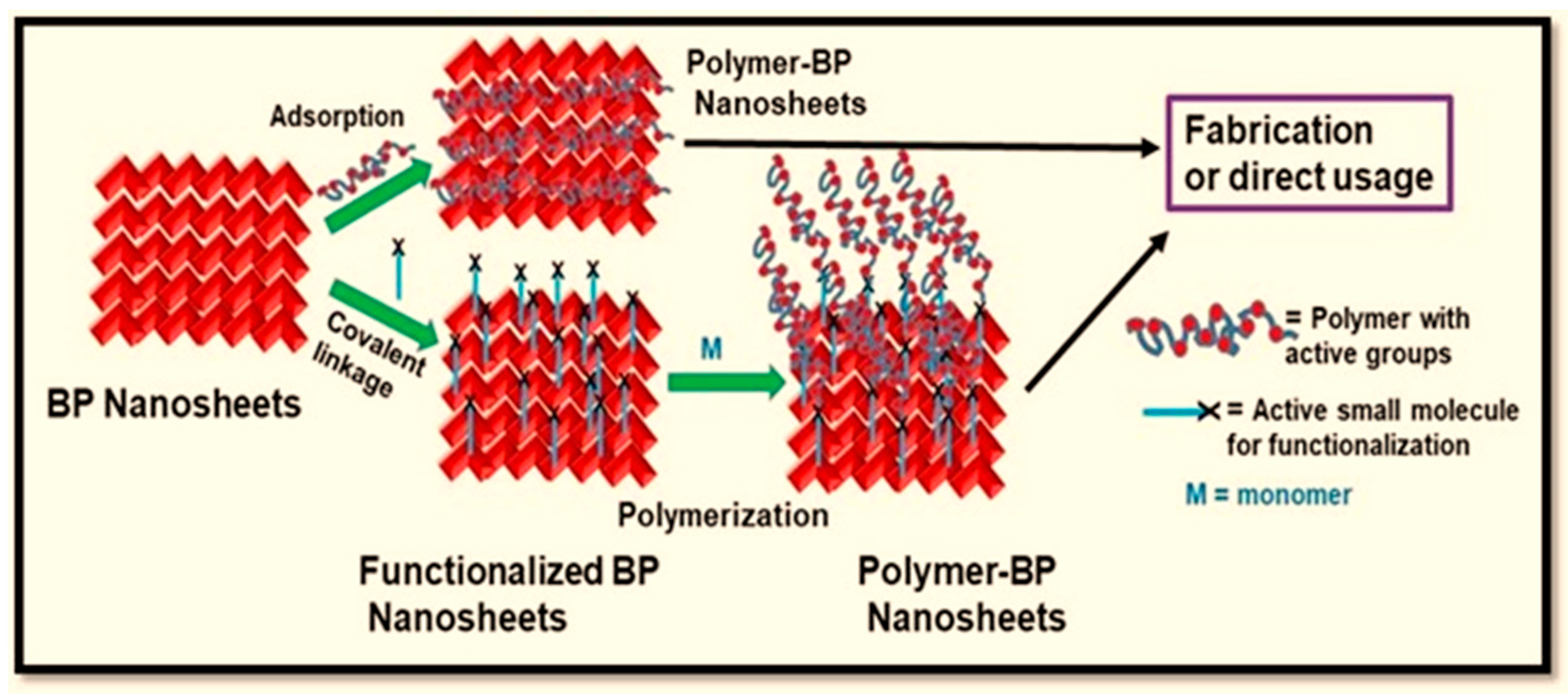 Polymers 15 00947 g004