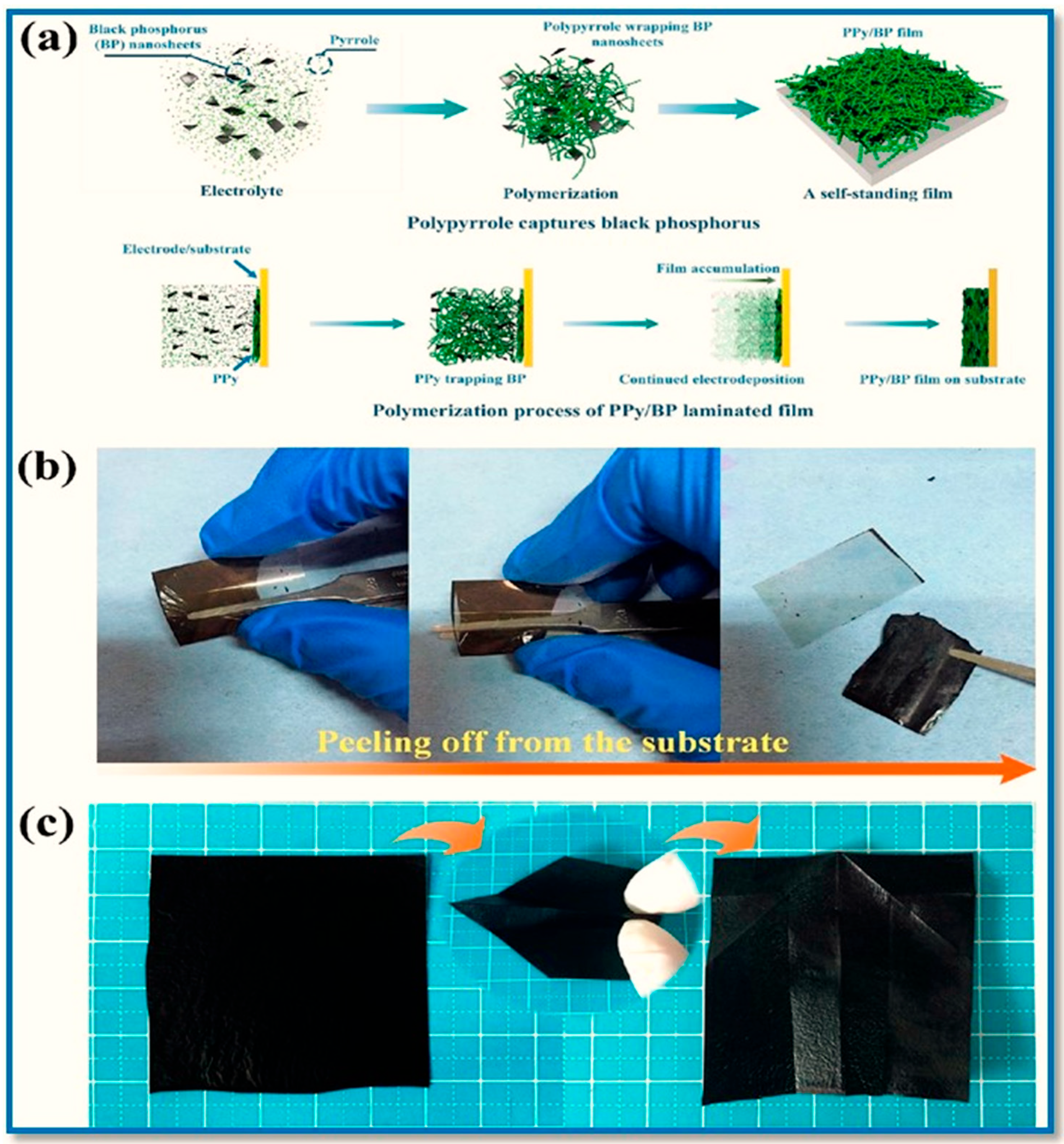 Polymers 15 00947 g011