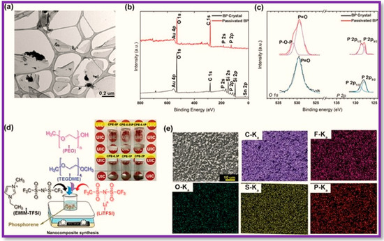 Polymers 15 00947 g013