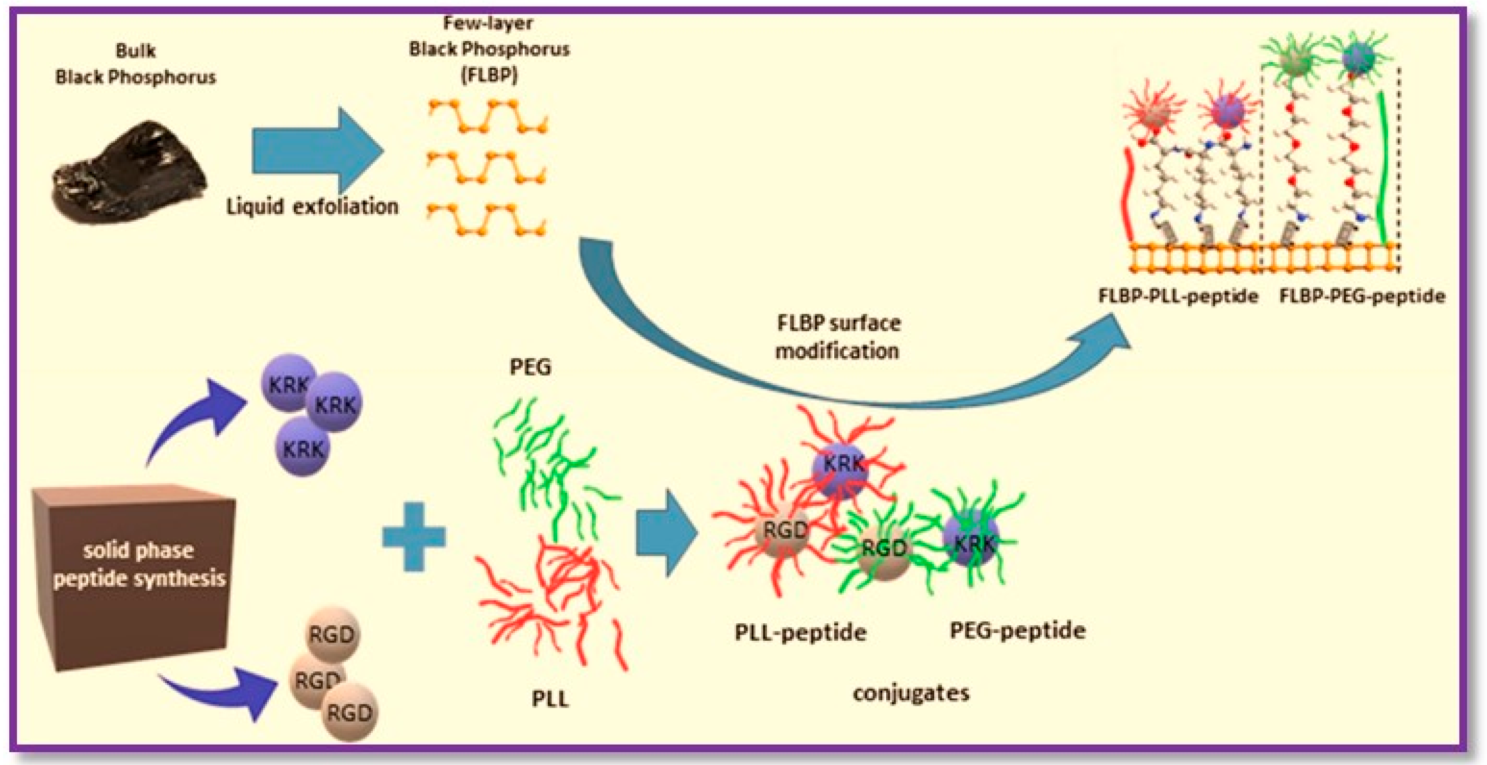 Polymers 15 00947 g020