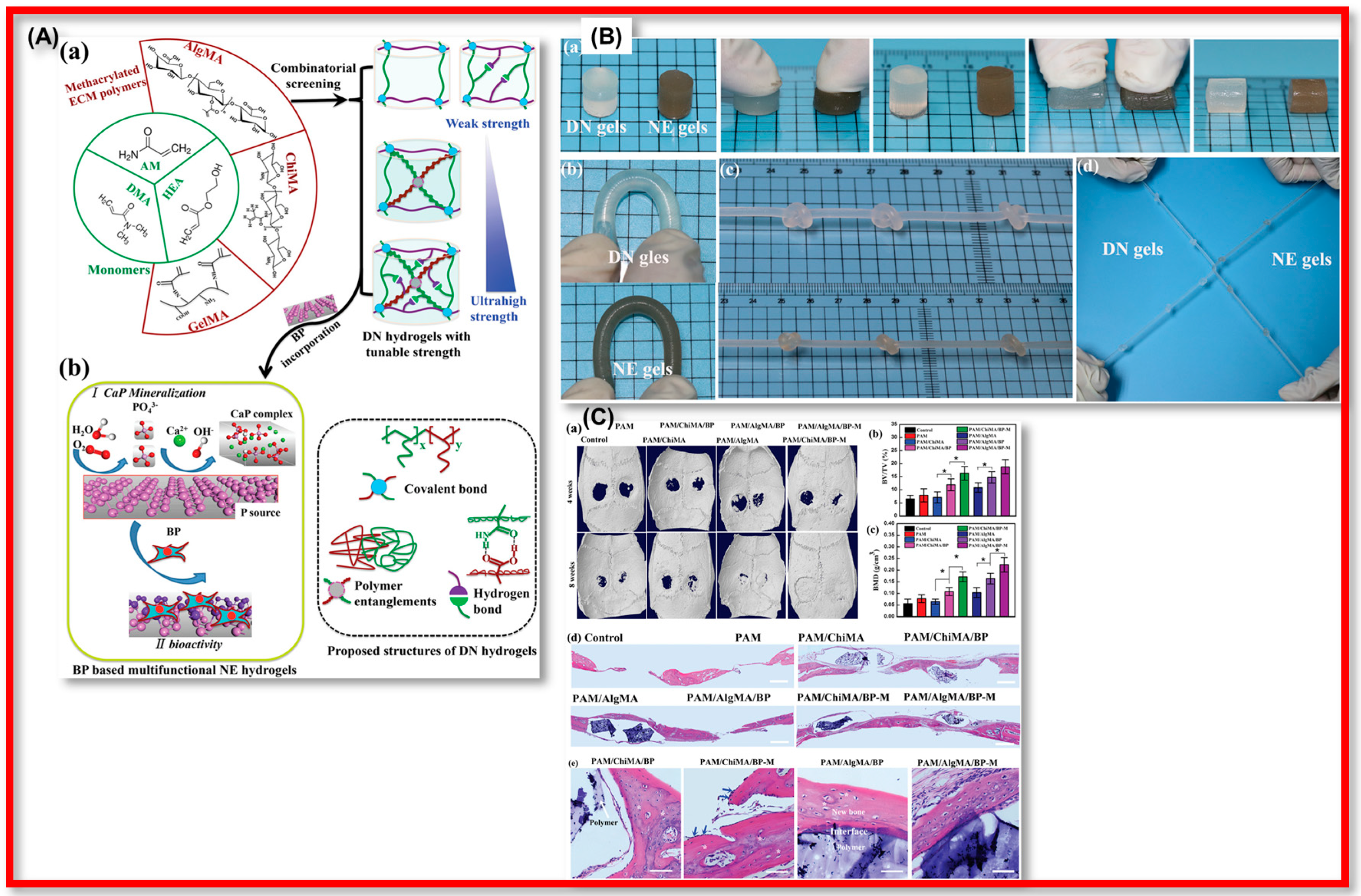 Polymers 15 00947 g023