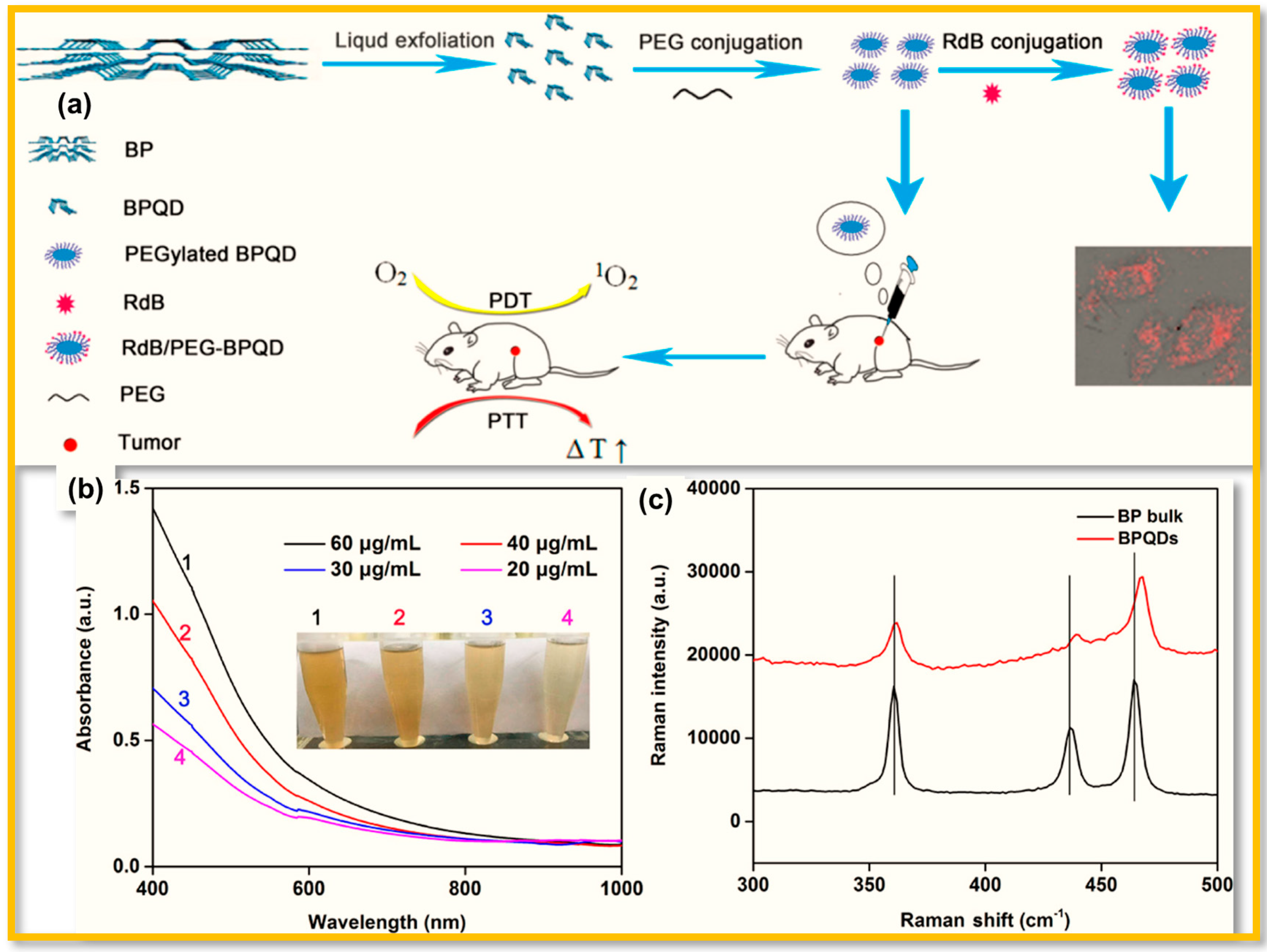 Polymers 15 00947 g024