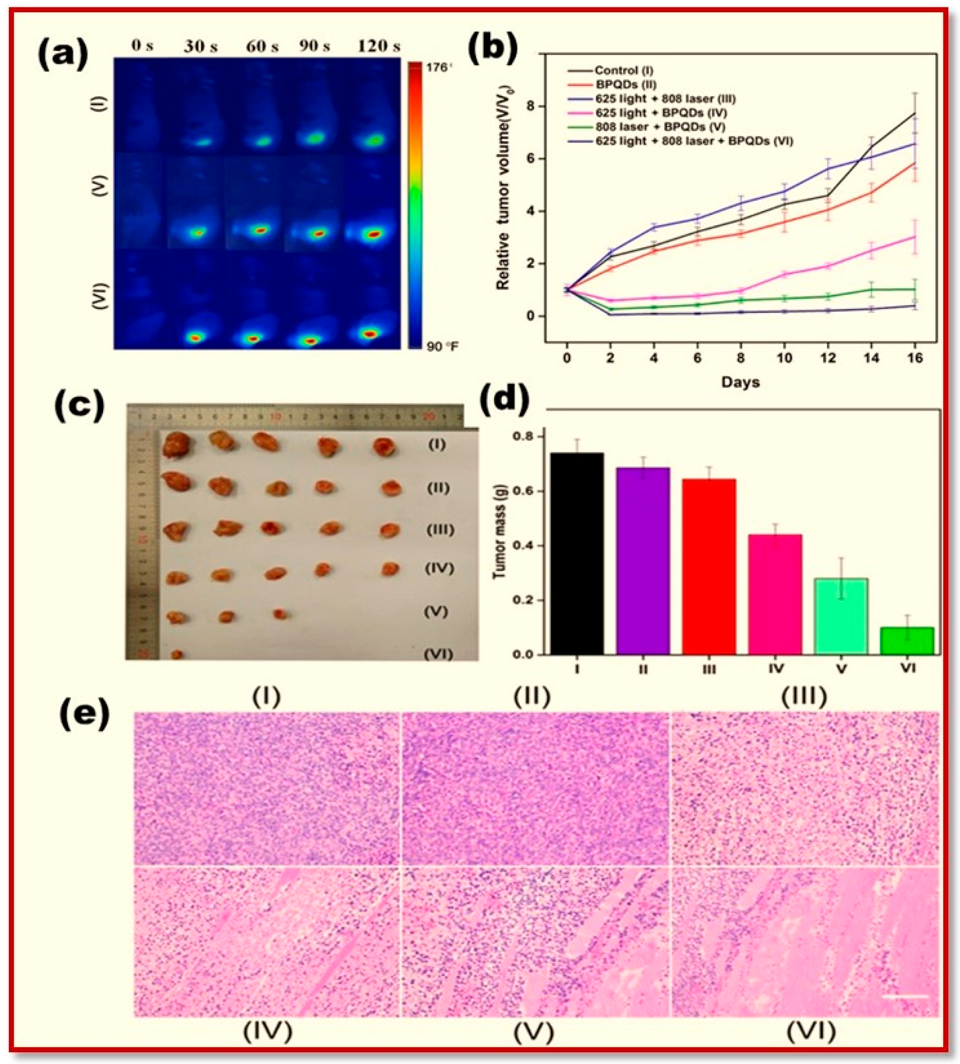 Polymers 15 00947 g025