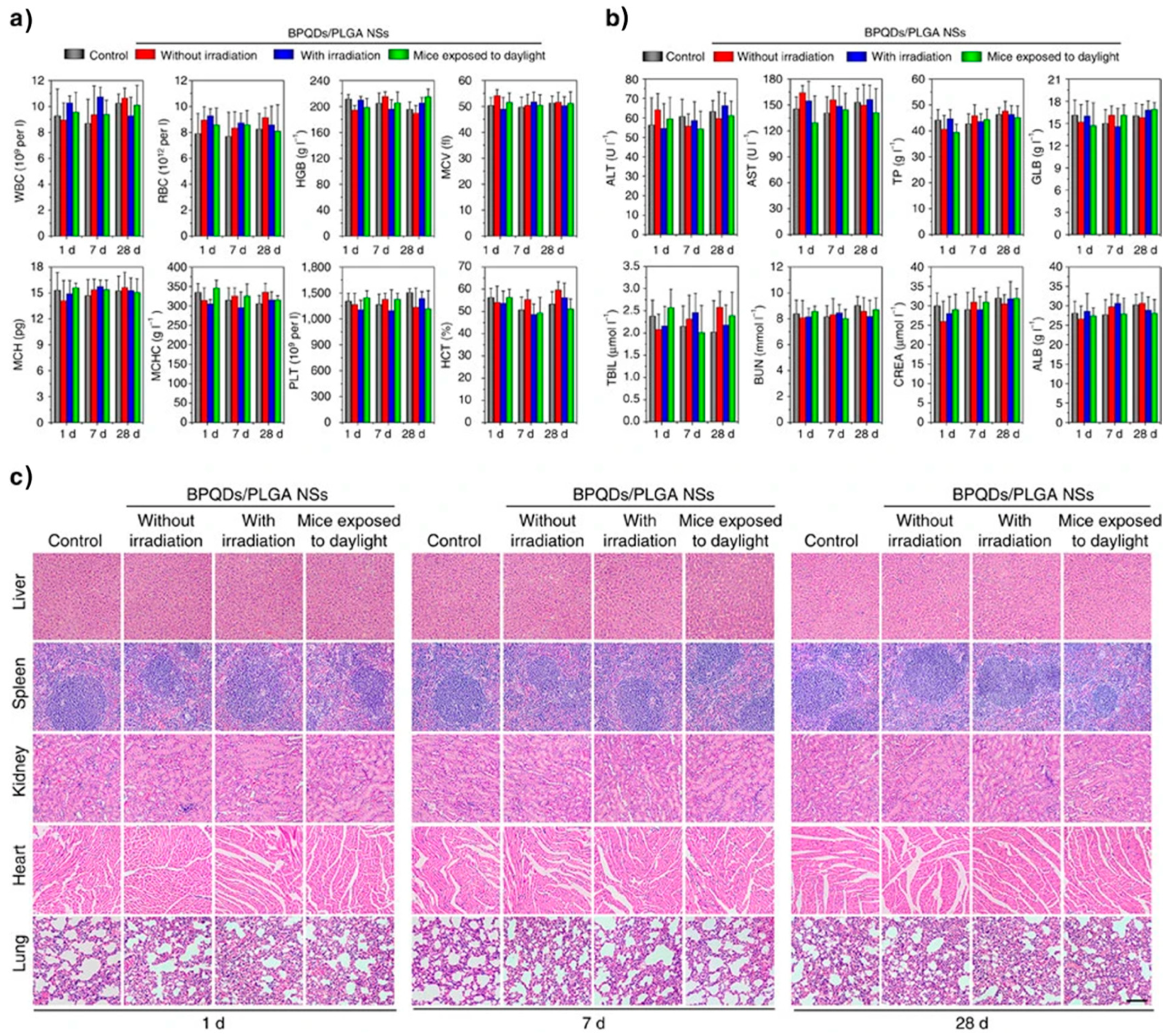 Polymers 15 00947 g027