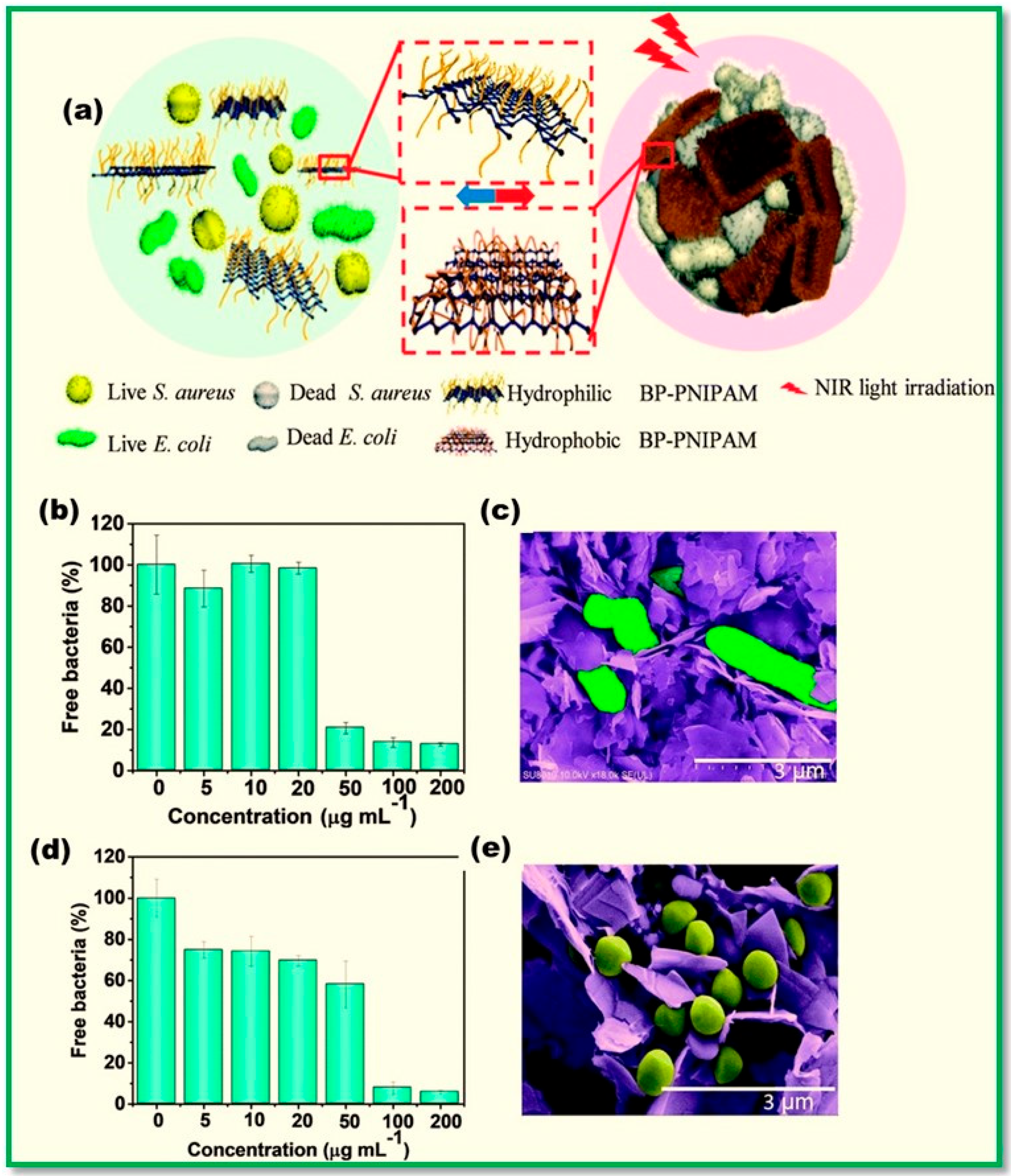 Polymers 15 00947 g028