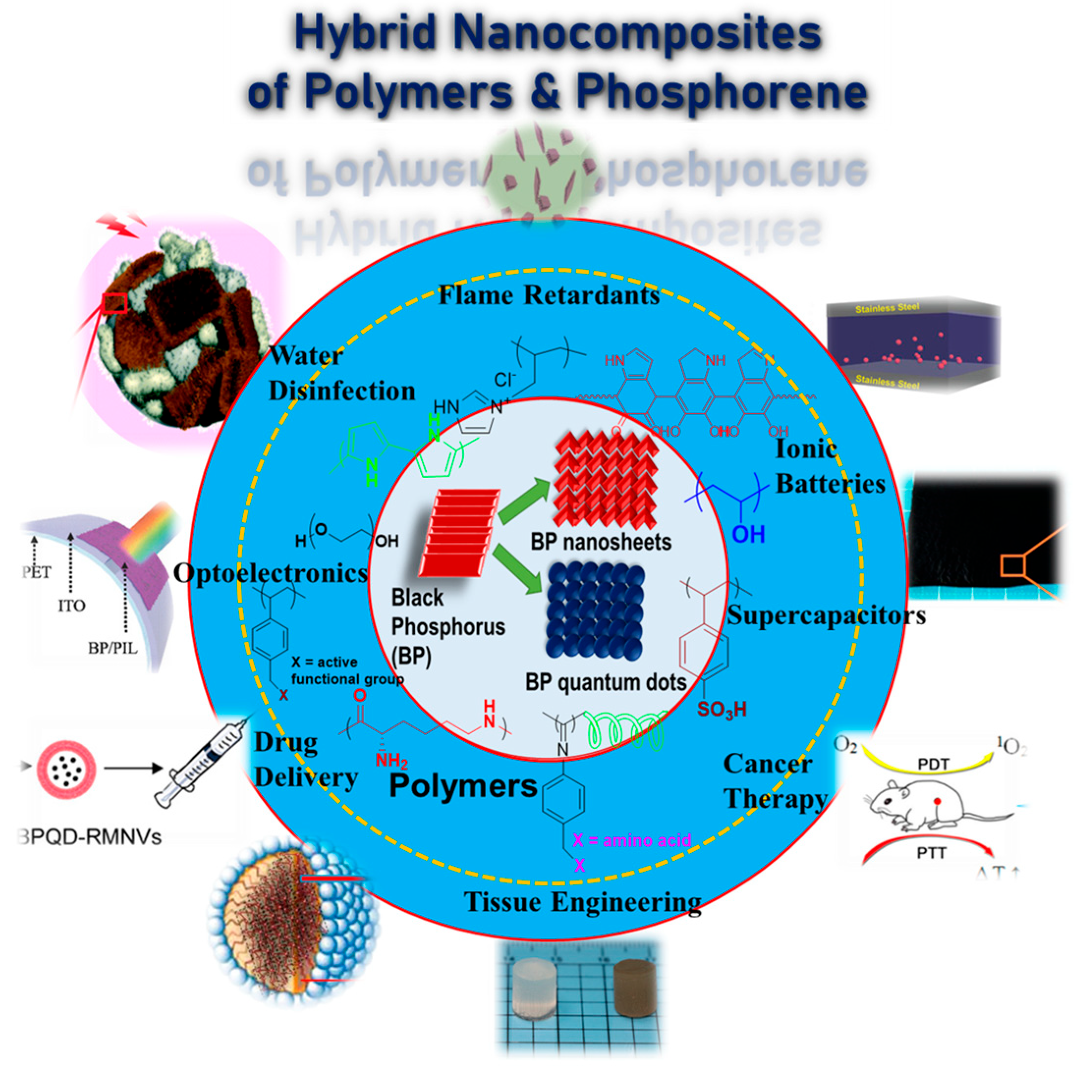 Polymers 15 00947 sch001