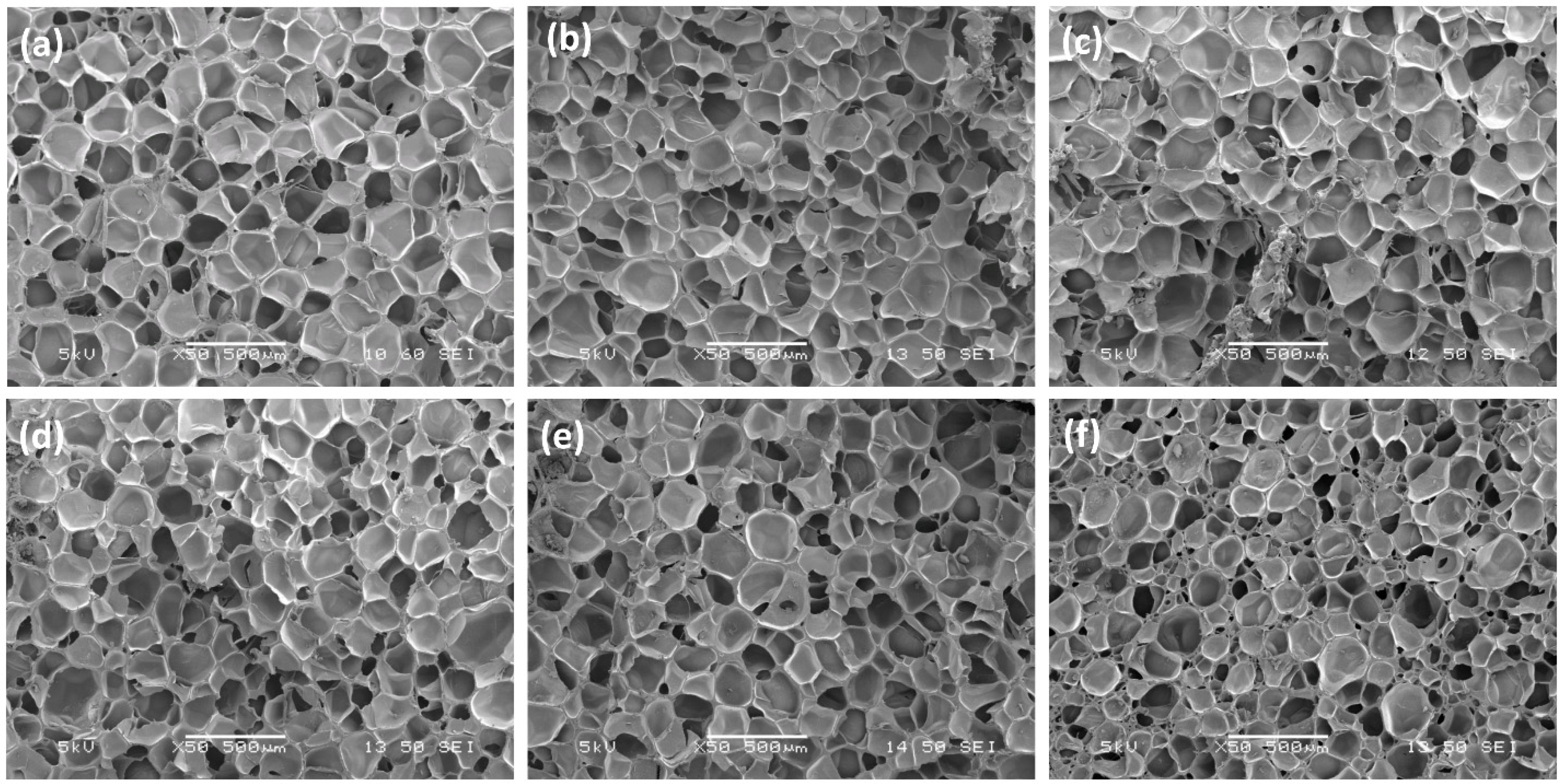 Polymers 15 00948 g006
