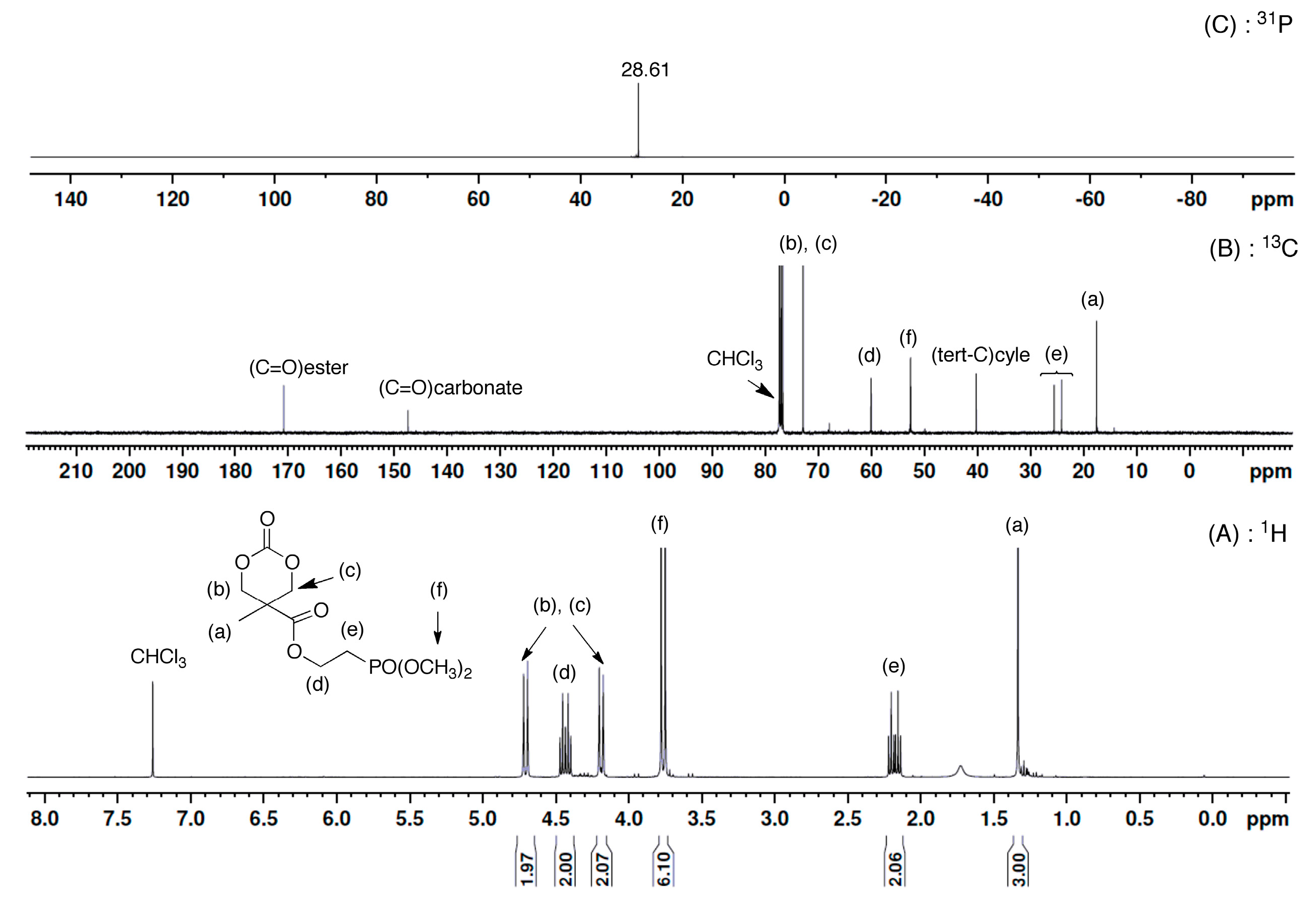 Polymers 15 00955 g001