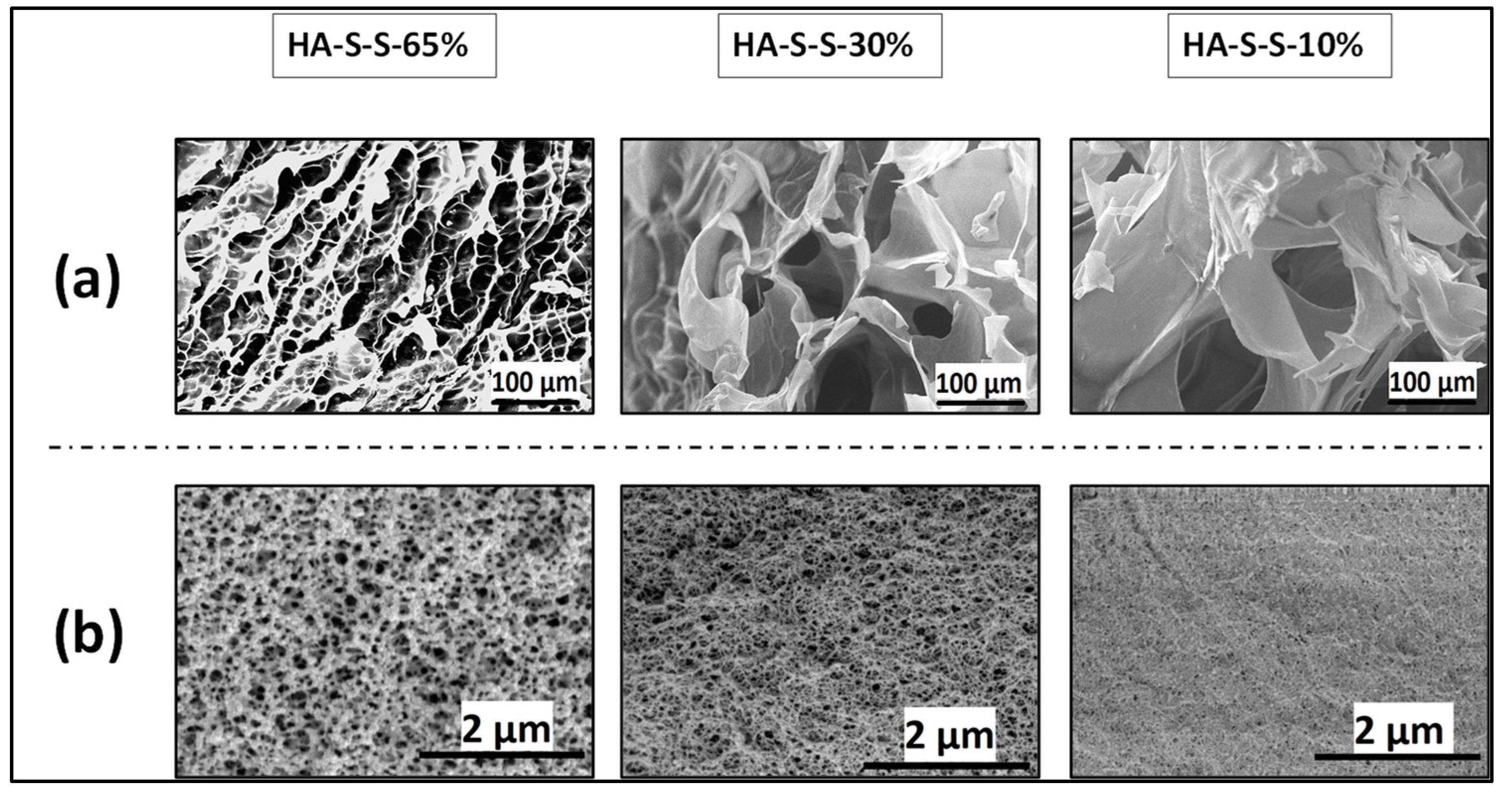 Polymers 15 00966 g004