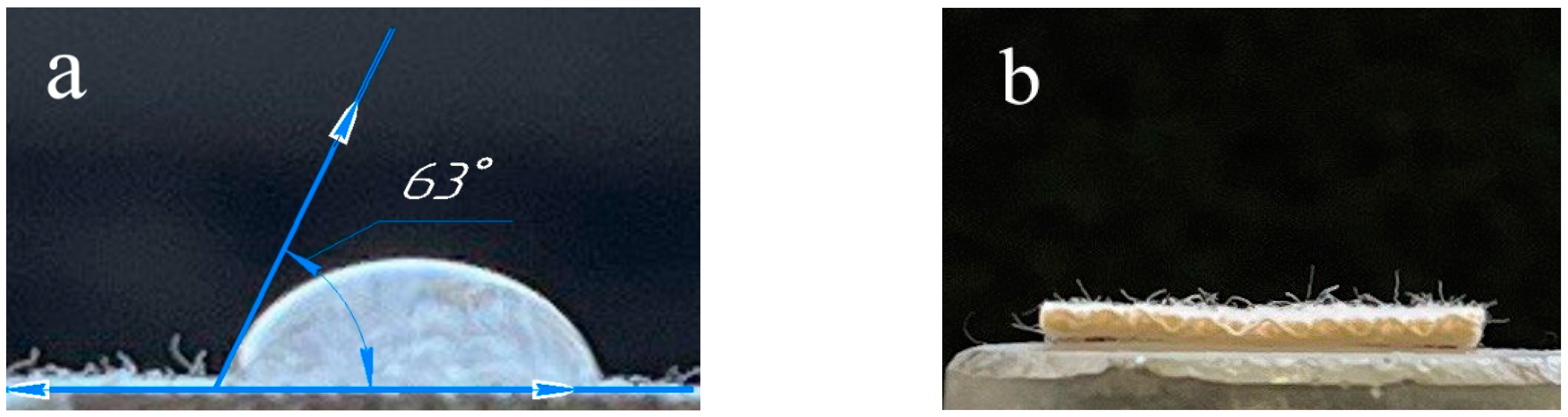 Polymers 15 00967 g003