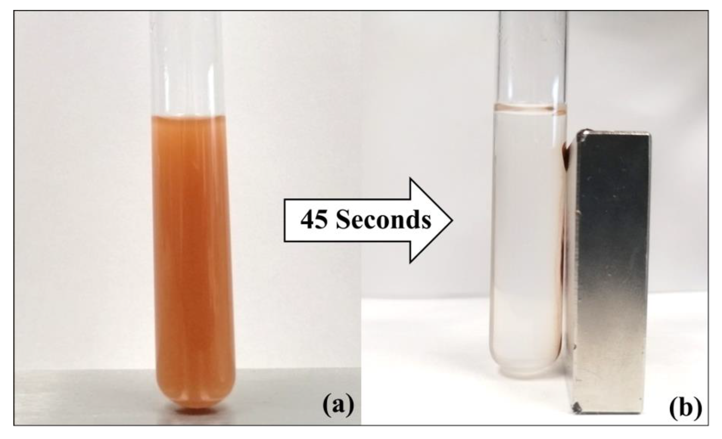 Polymers 15 00968 g006