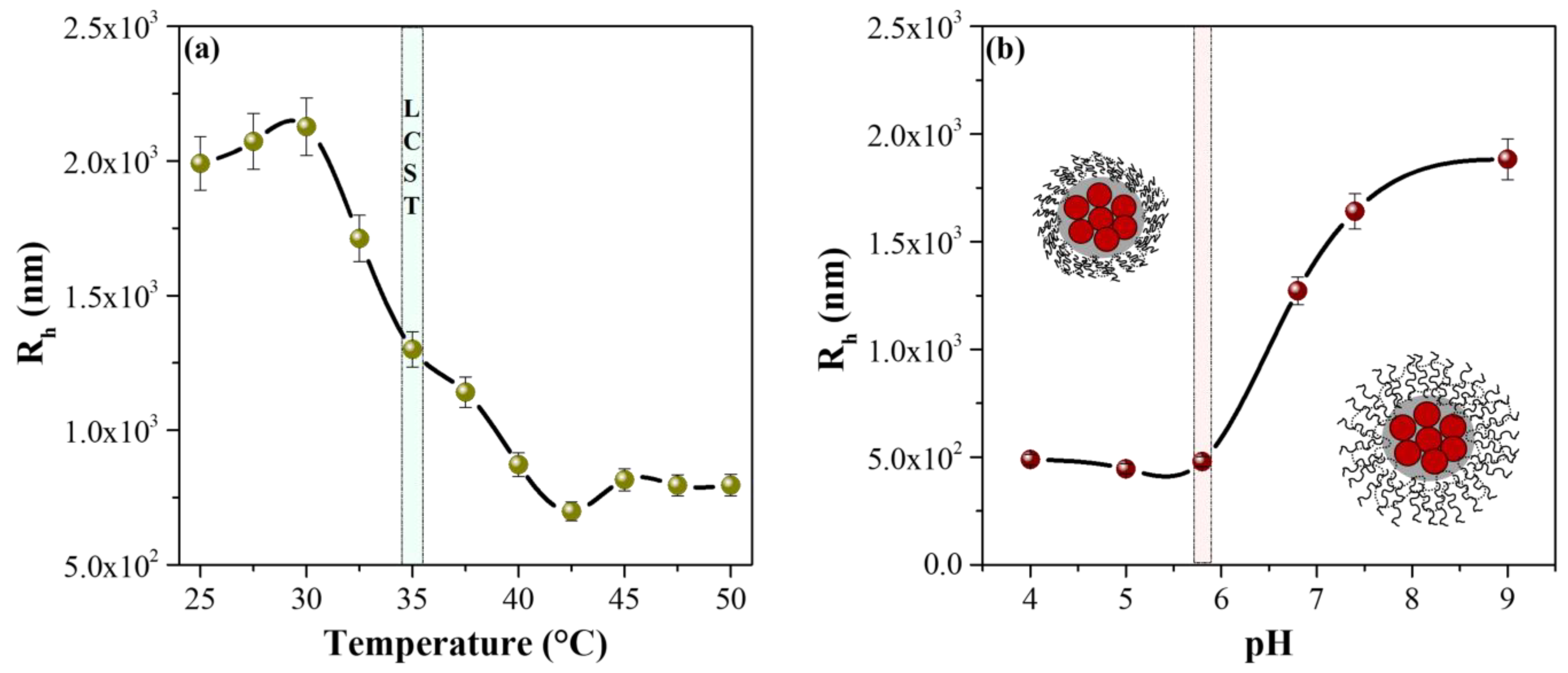 Polymers 15 00968 g008