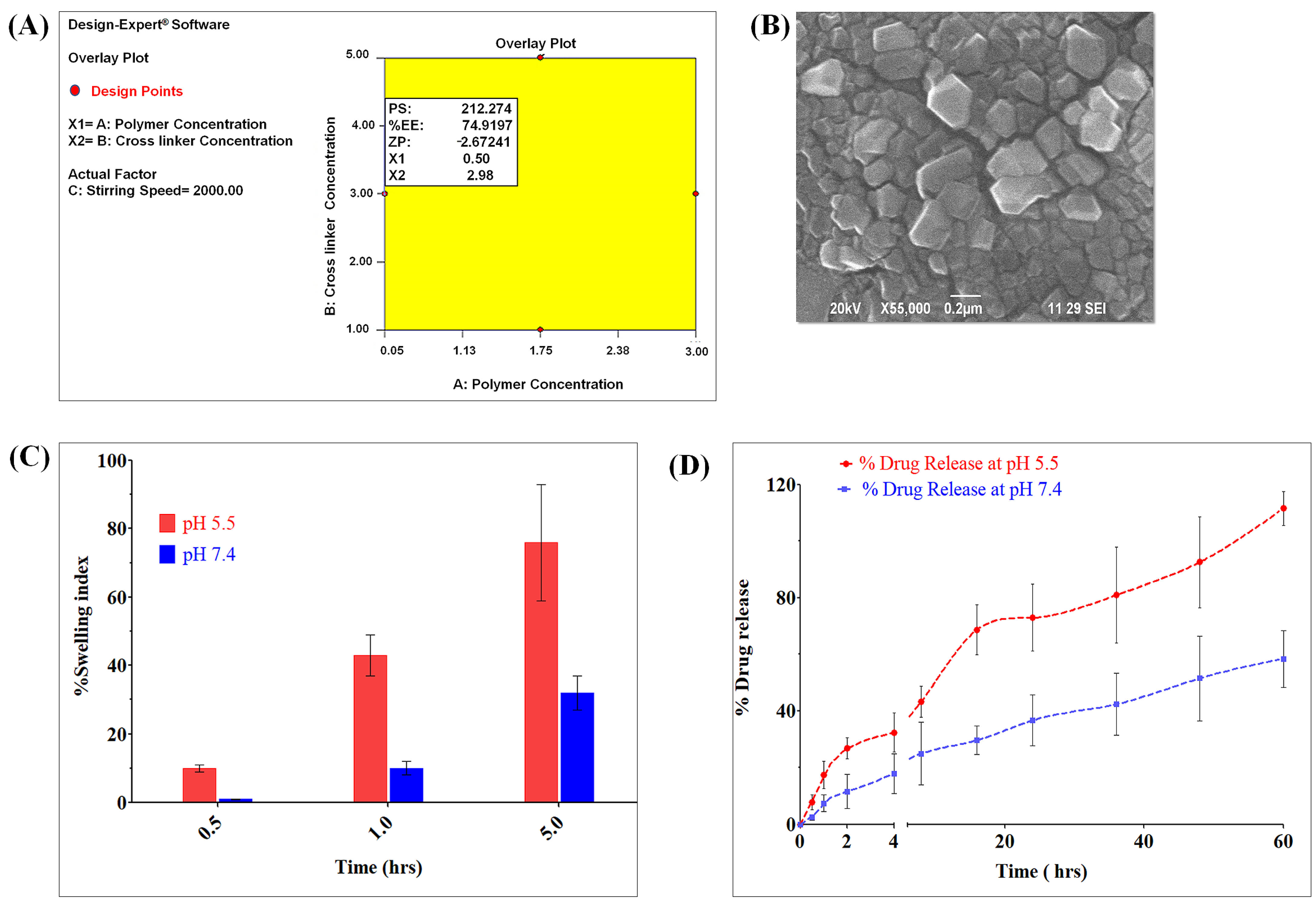 Polymers 15 00976 g002