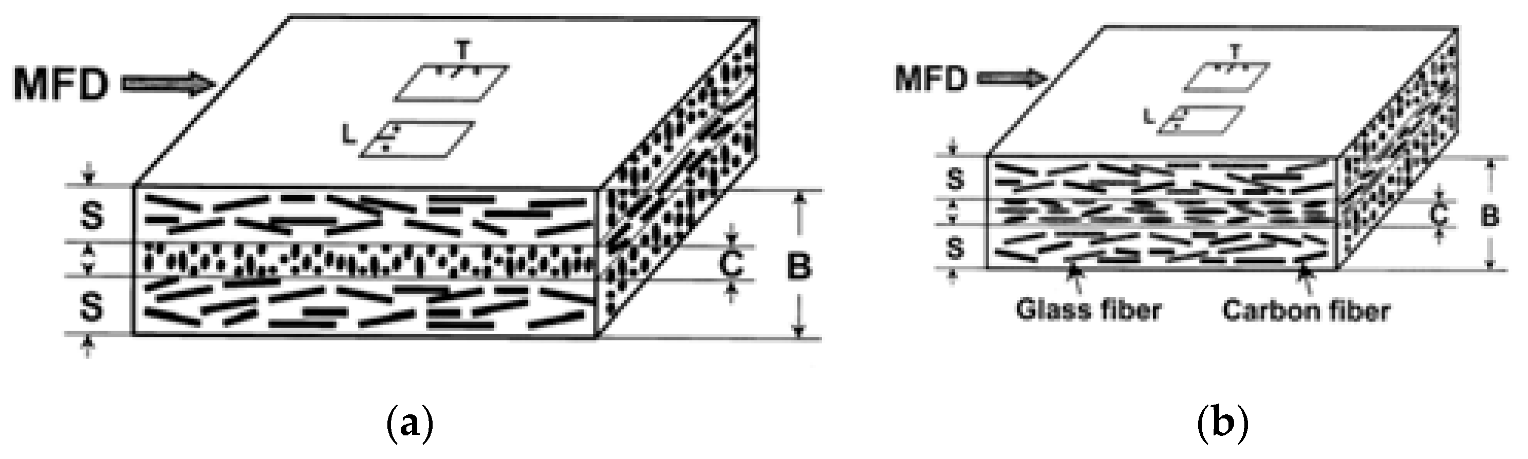 Polymers 15 00984 g005