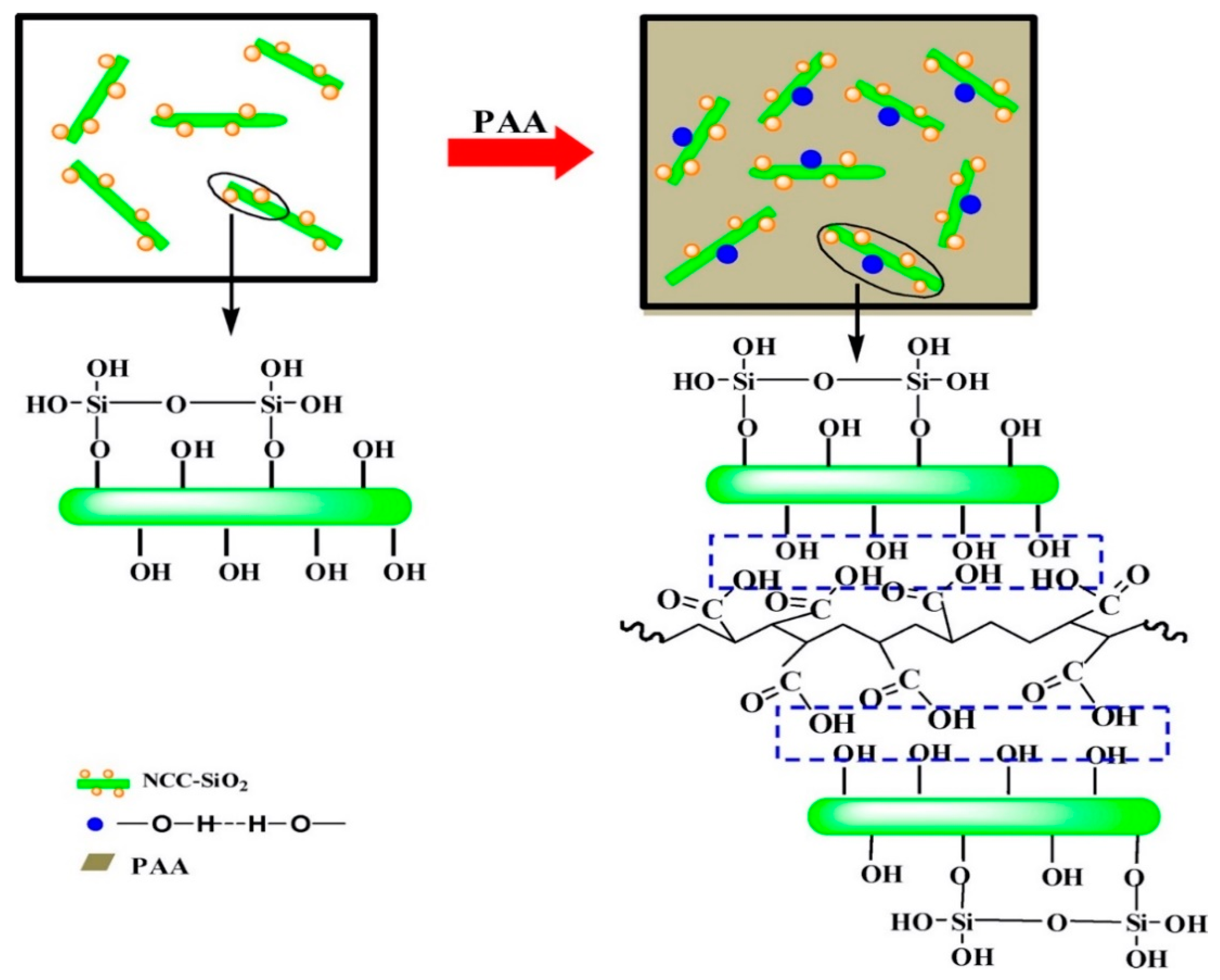 Polymers 15 00984 g008
