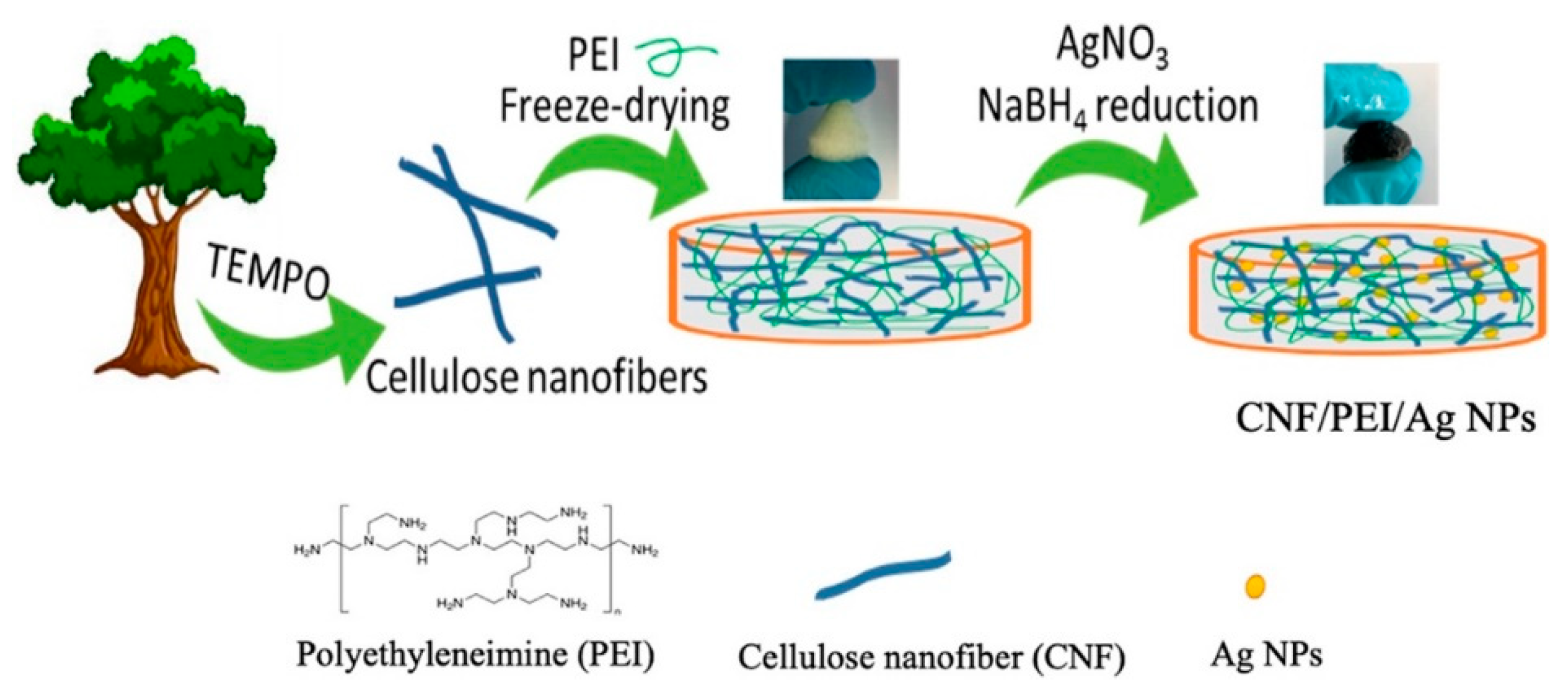 Polymers 15 00984 g009