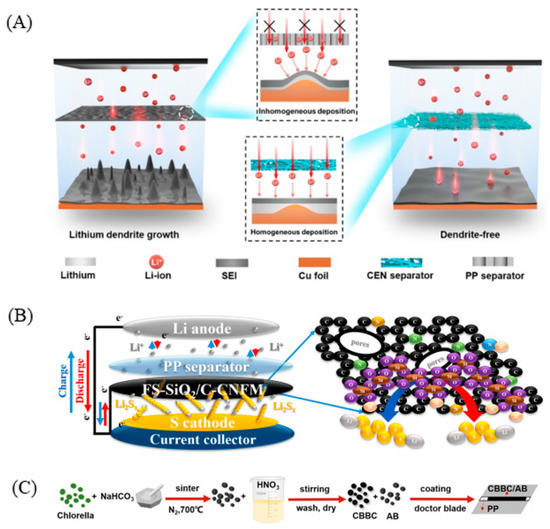 Polymers 15 00993 g010