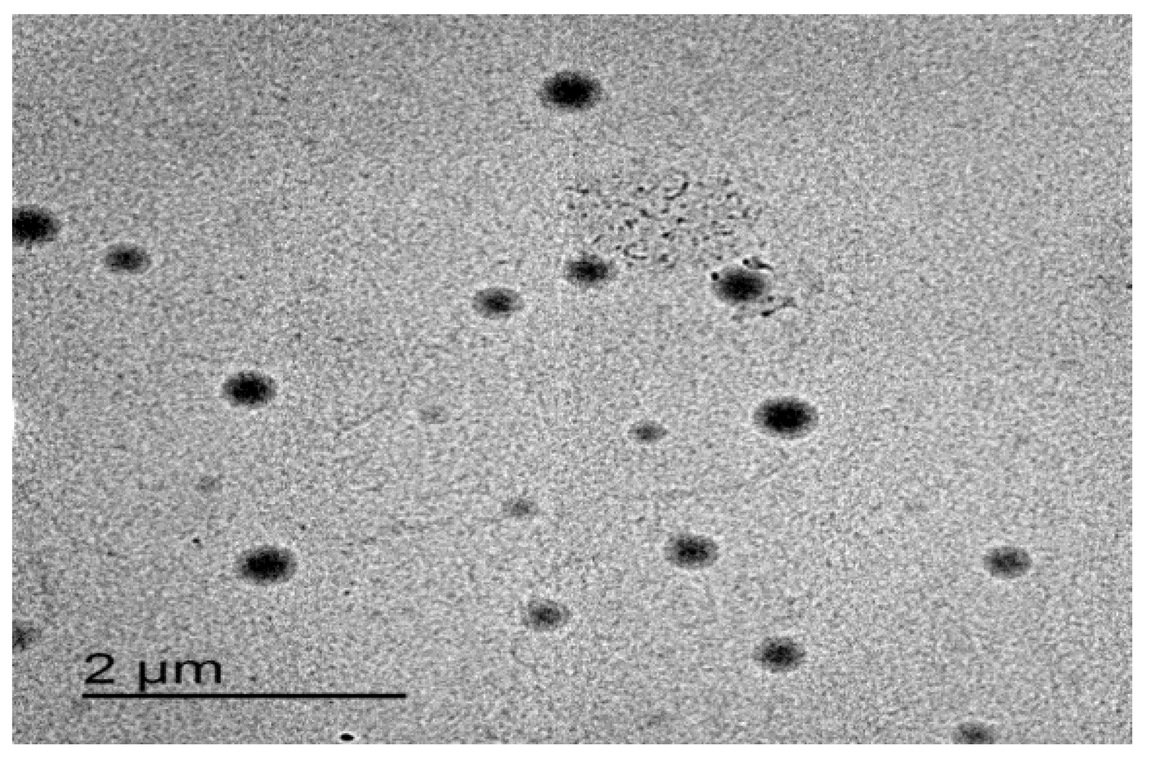 Polymers 15 00995 g007 Polymers 15 00995 g007