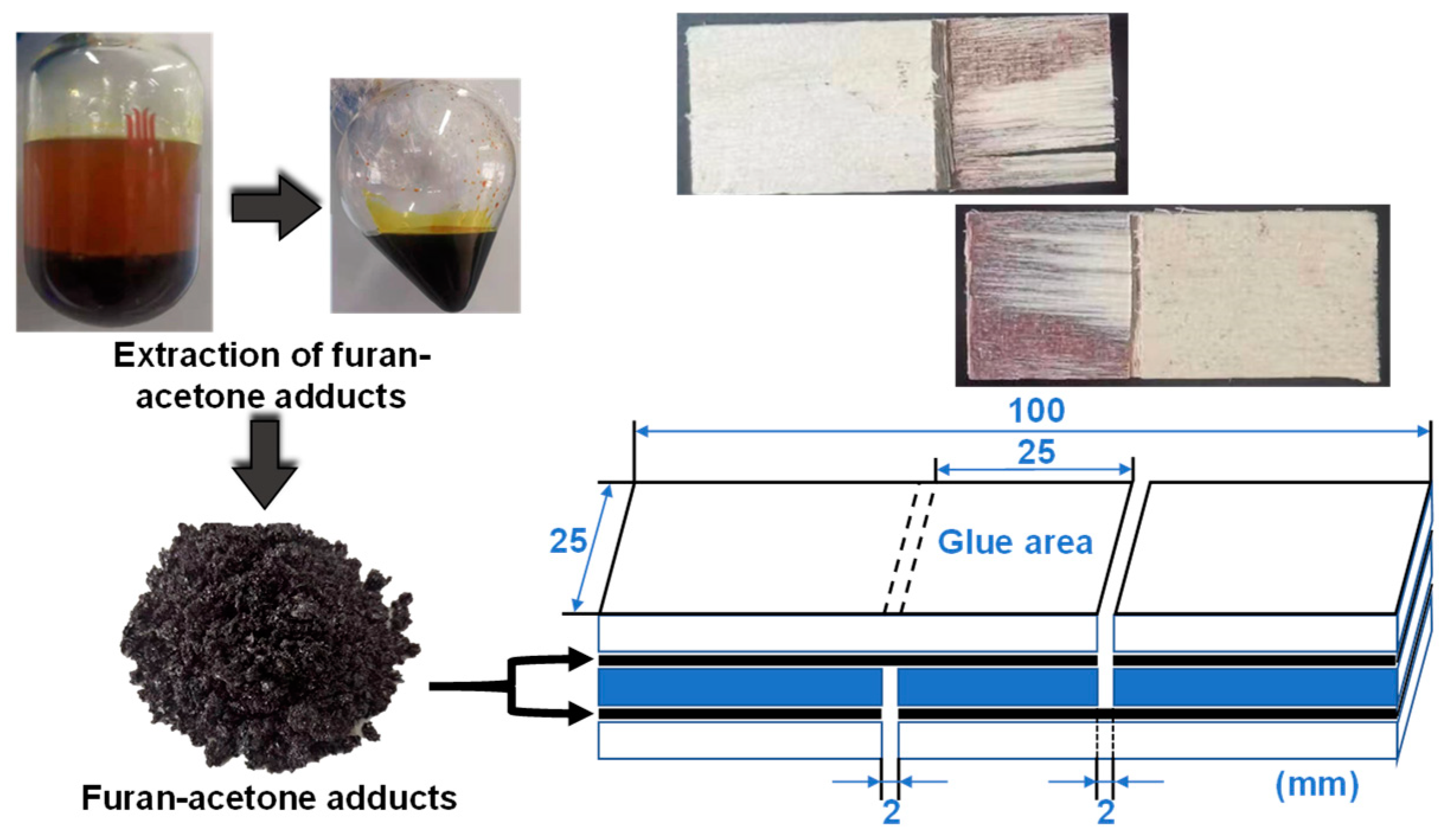 Polymers 15 00996 g002