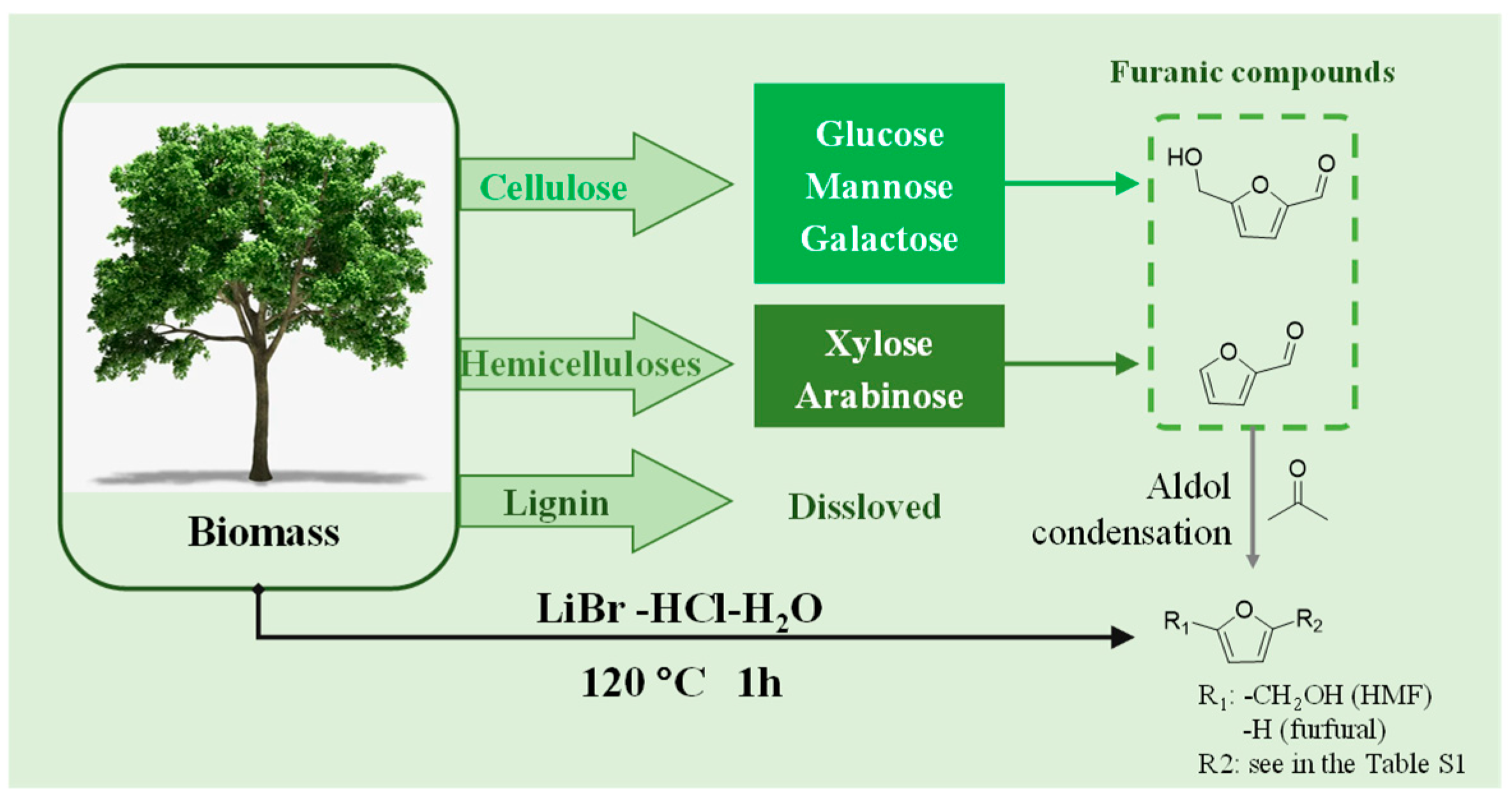 Polymers 15 00996 g003