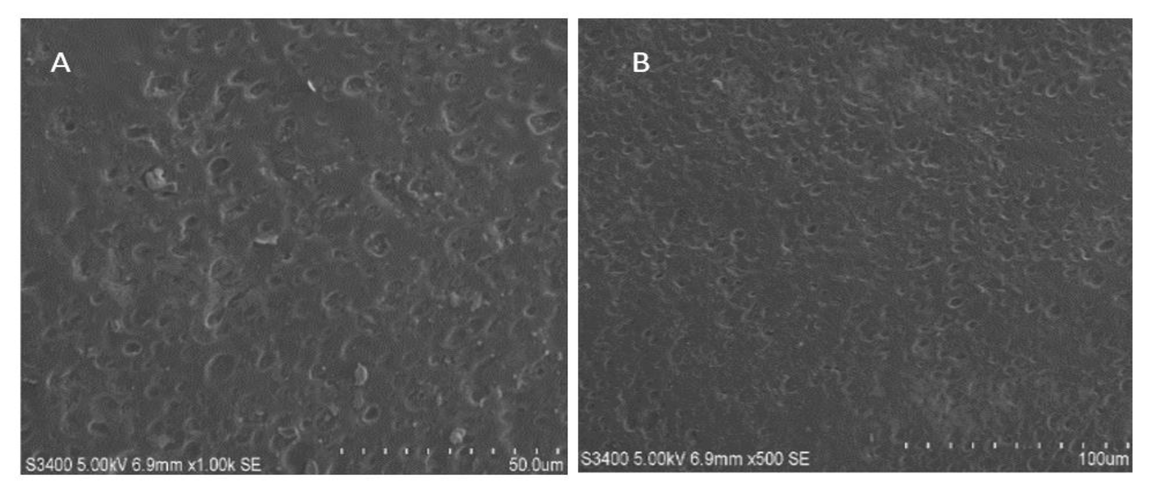 Polymers 15 01003 g005 Polymers 15 01003 g005