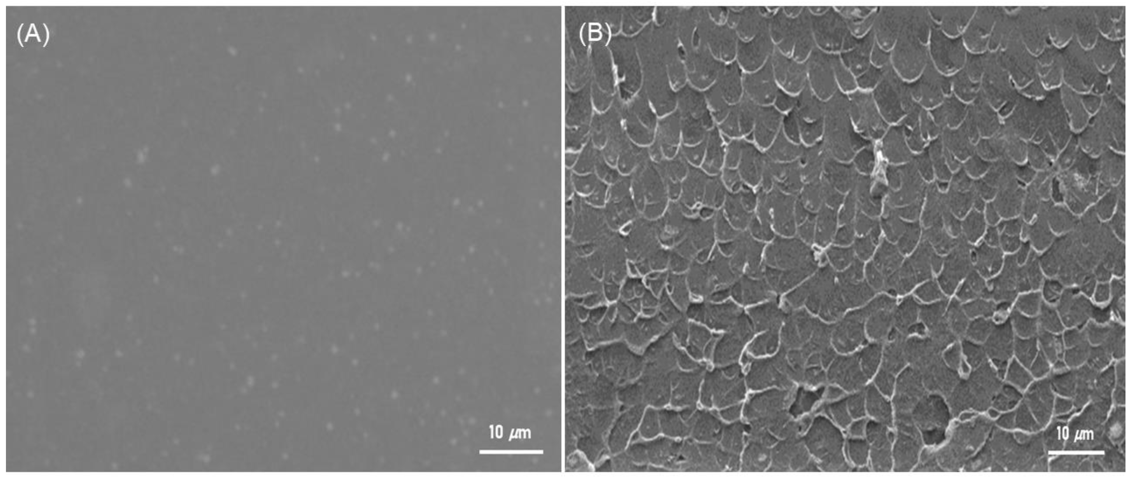 Polymers 15 01011 g007