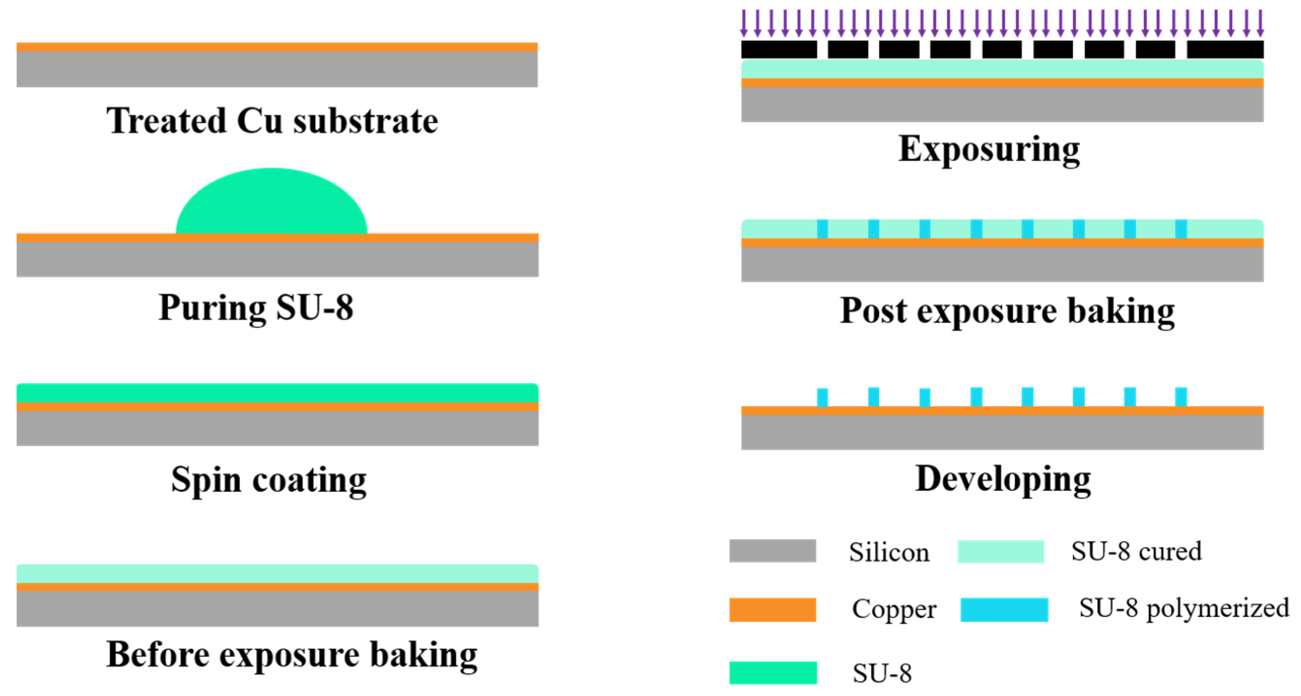 Polymers 15 01015 g002
