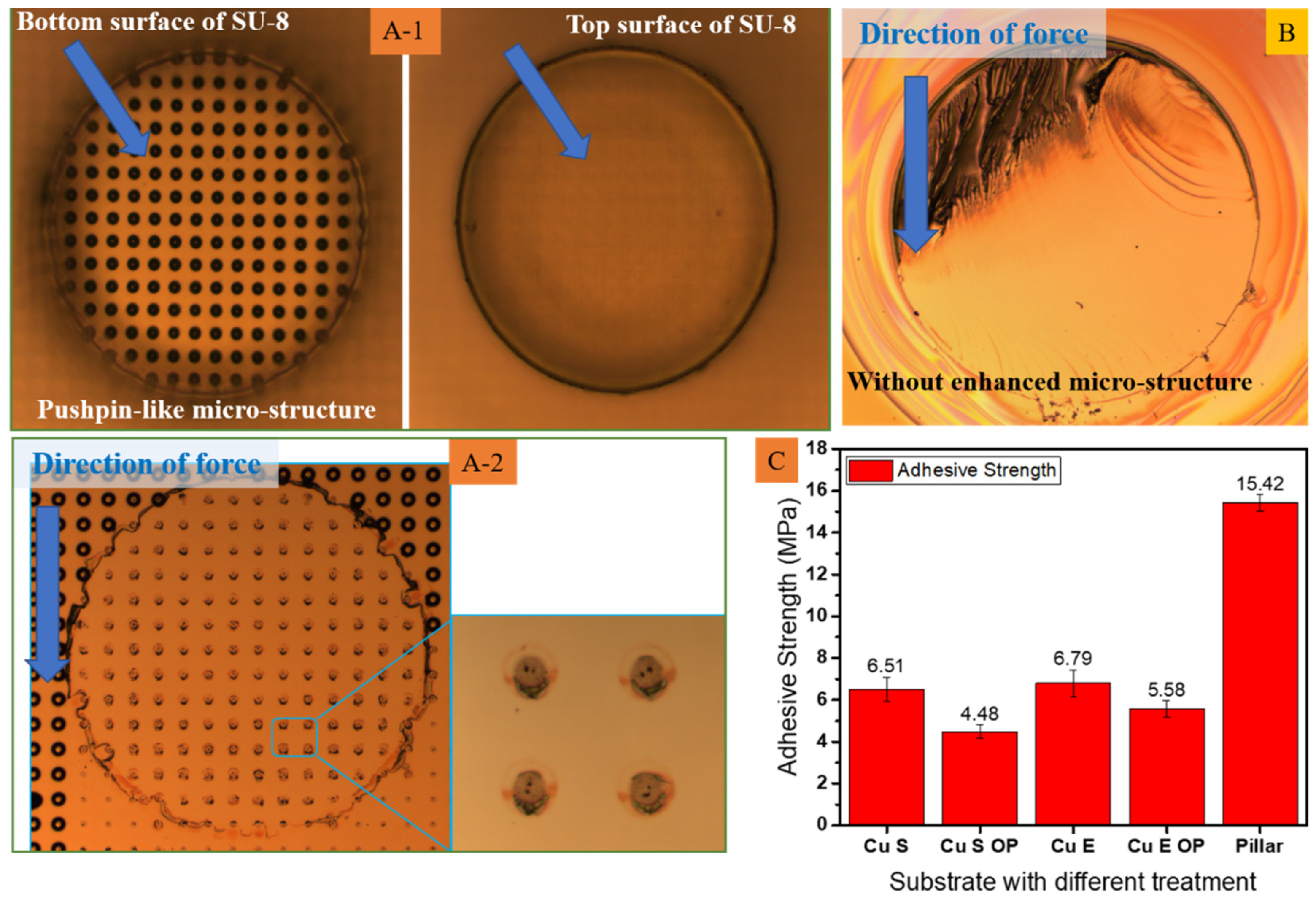 Polymers 15 01015 g007