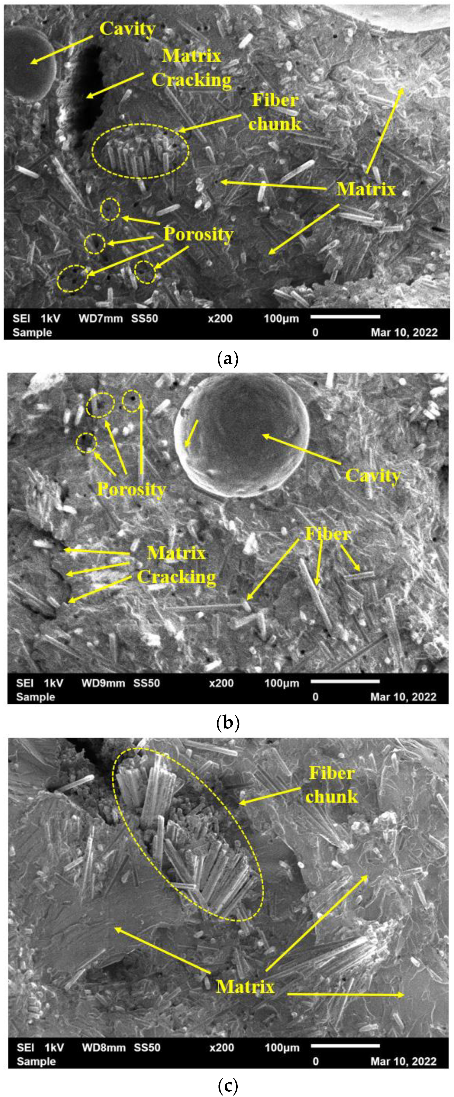 Polymers 15 01016 g022